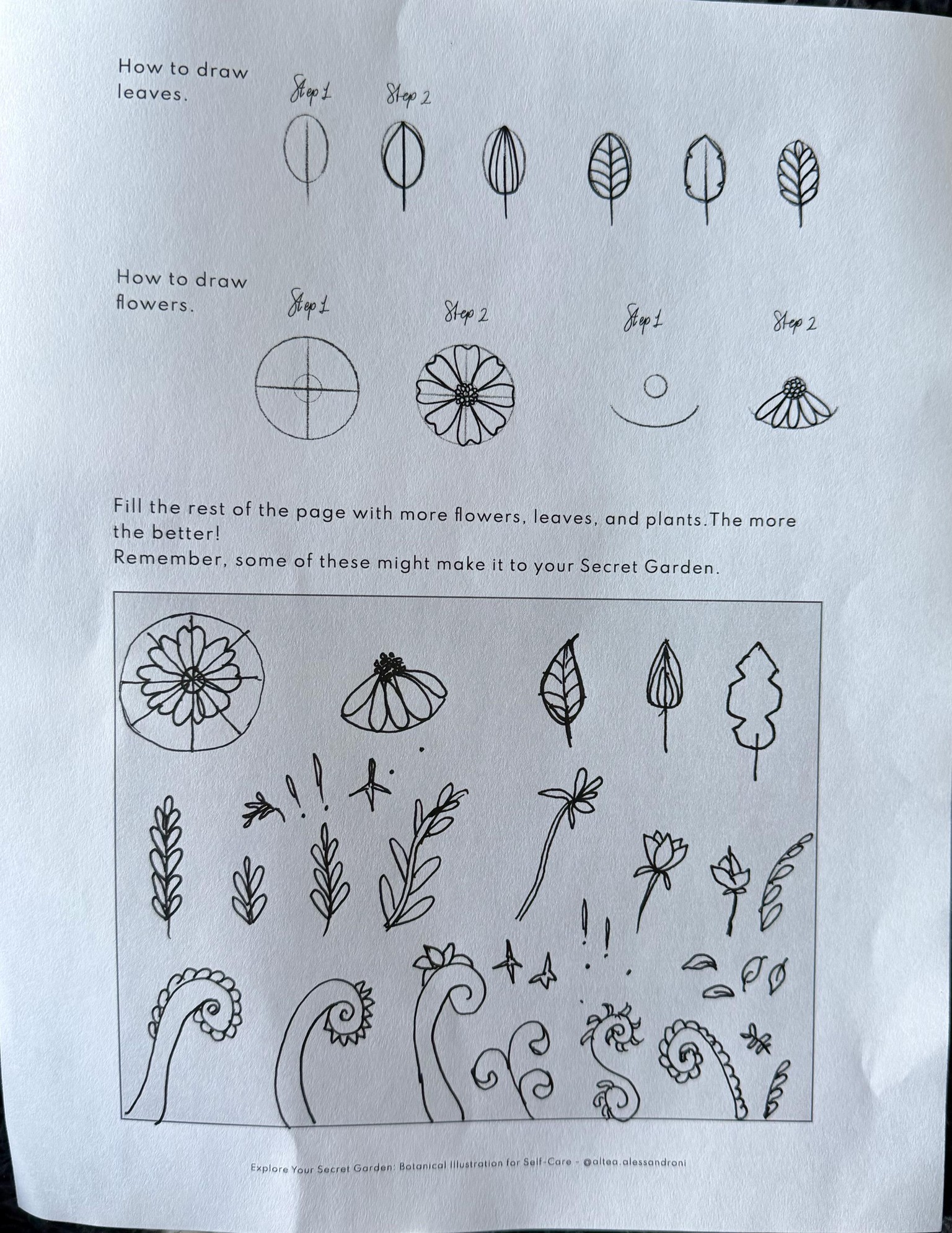 Botanical Illustrations - image 2 - student project