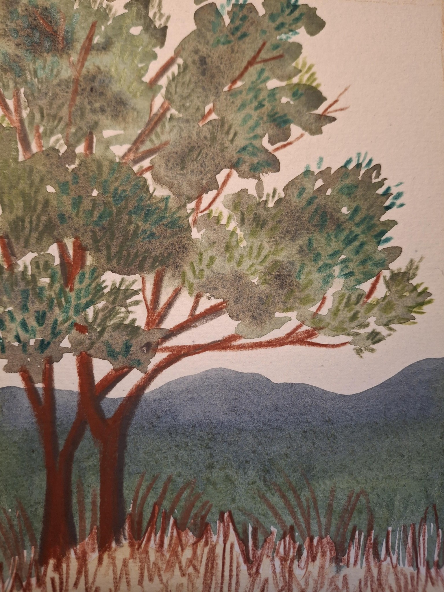 Quick watercolor sketches - image 2 - student project