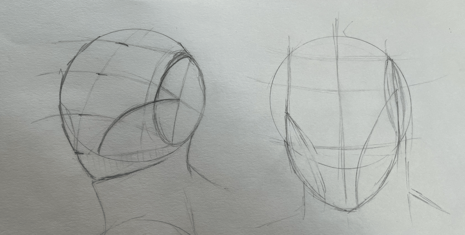 7 Loomis heads - image 1 - student project