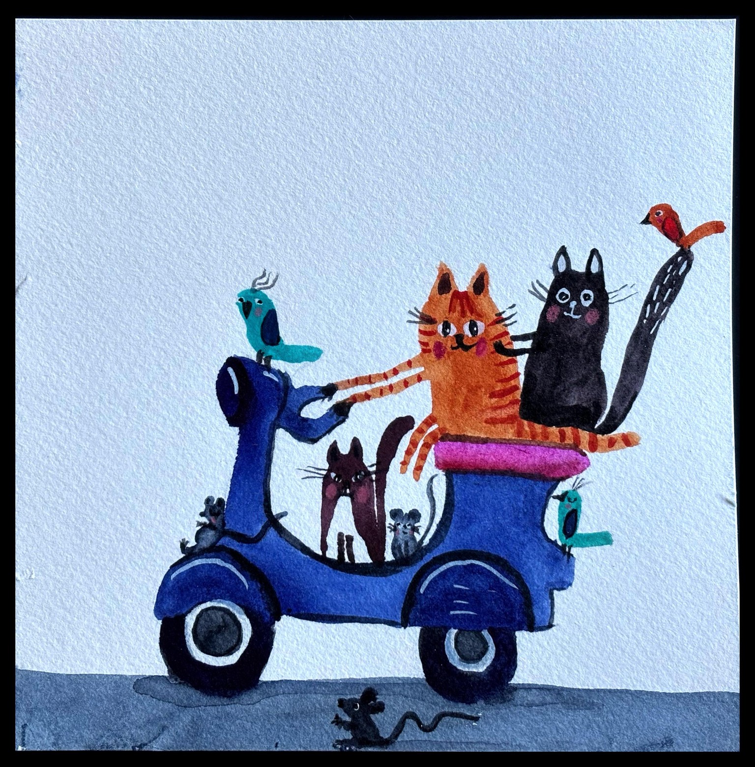 Cats On the Move - image 1 - student project