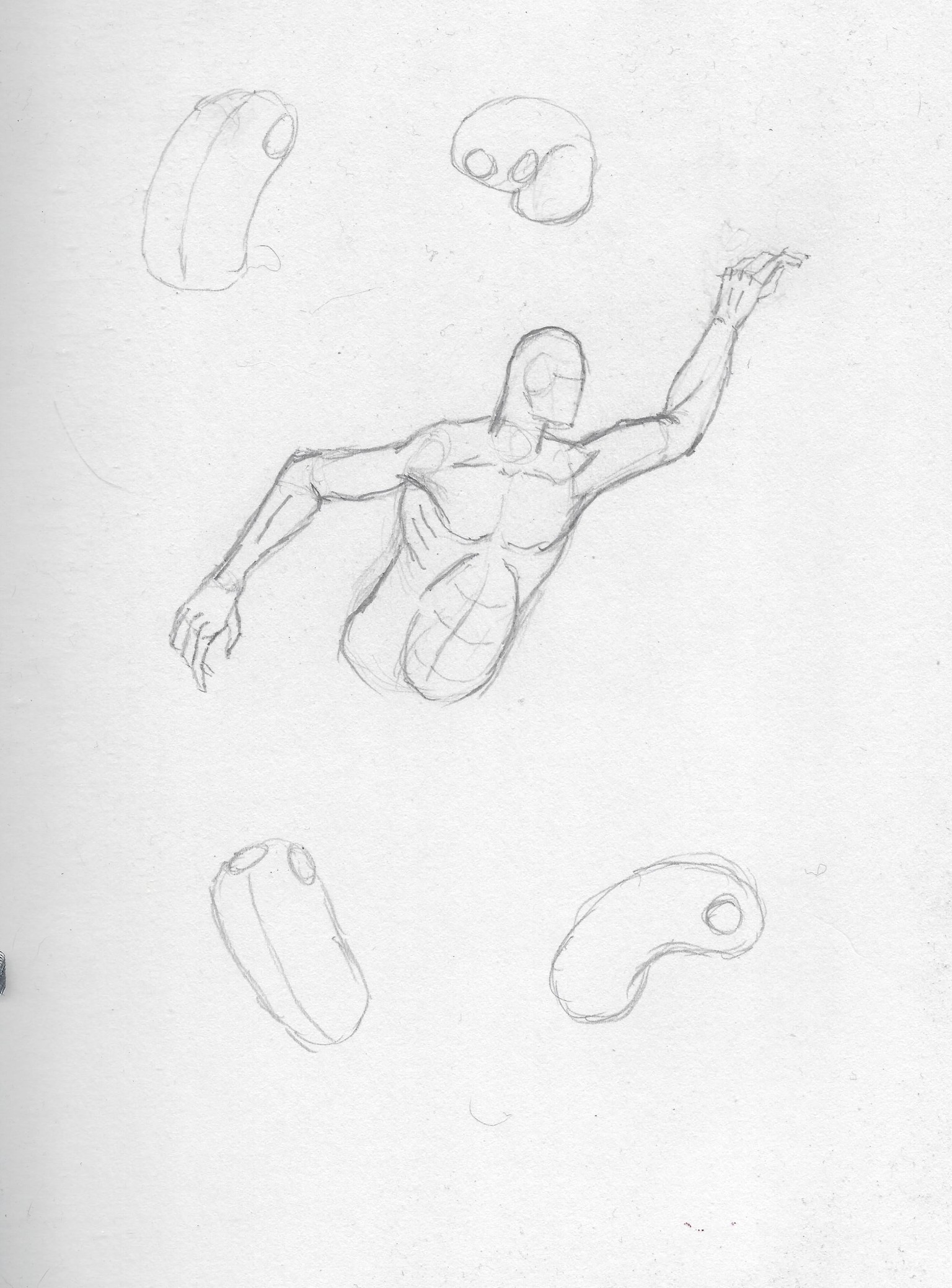 Gesture - Bean study - image 1 - student project