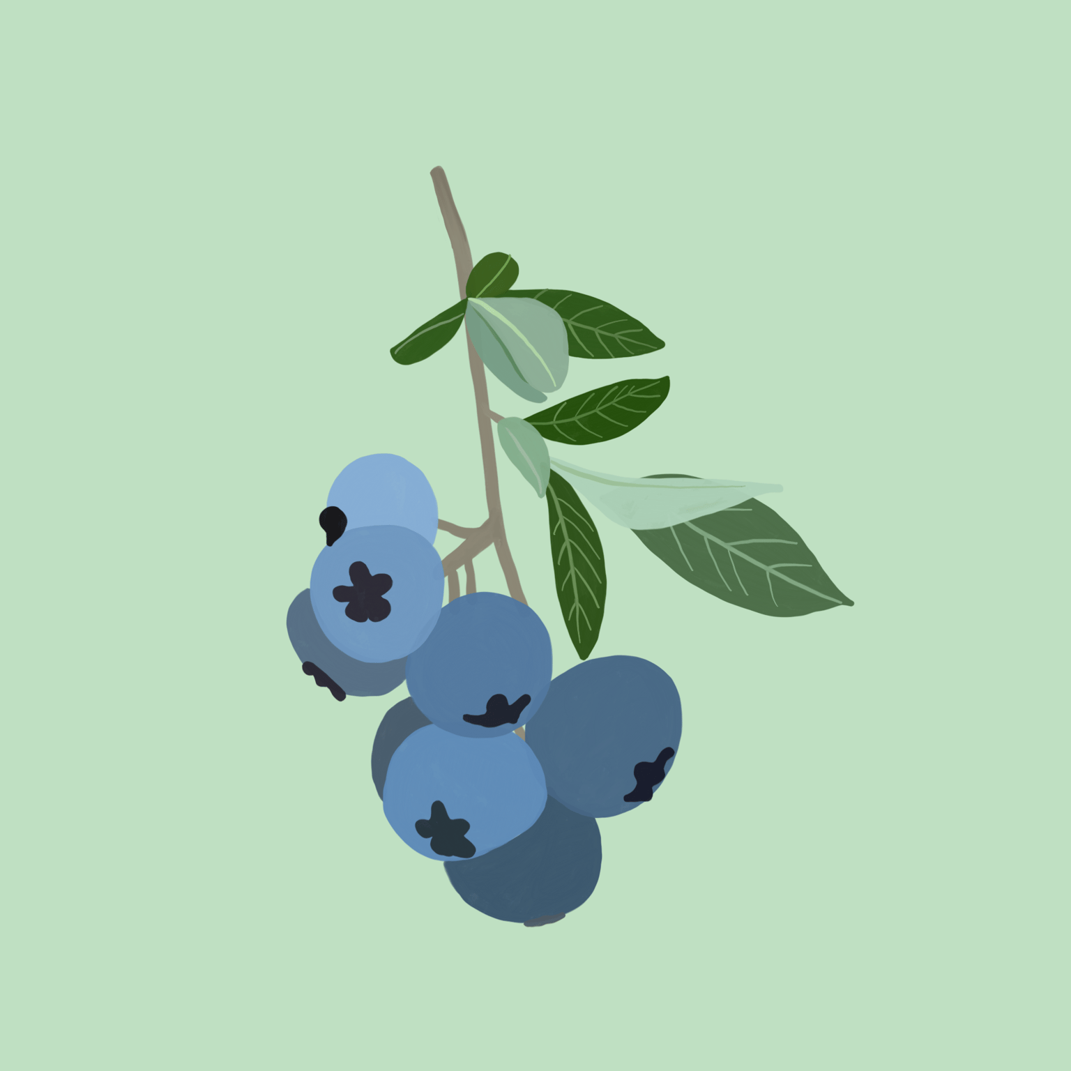 🍋 My Intro to Gouache Project Files - image 1 - student project