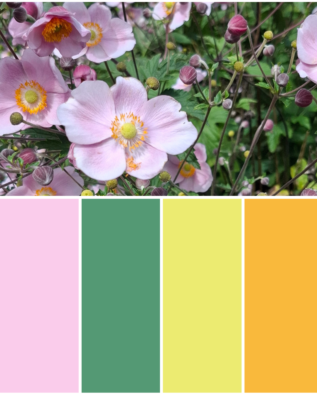 Flower Power - image 1 - student project