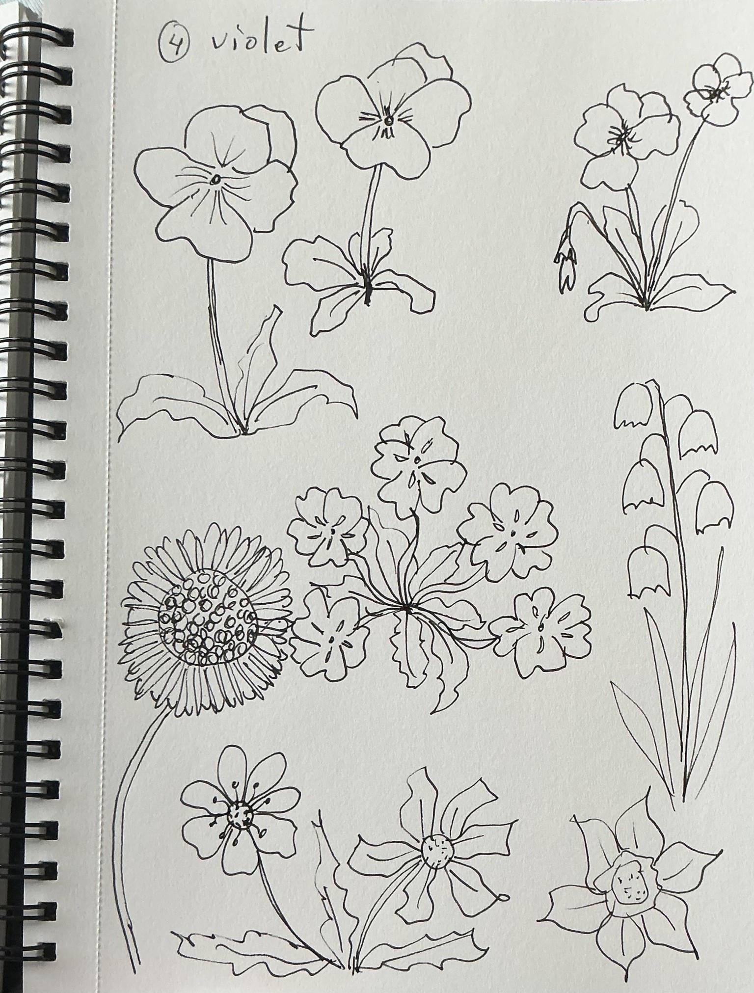 Flower doodles - image 3 - student project