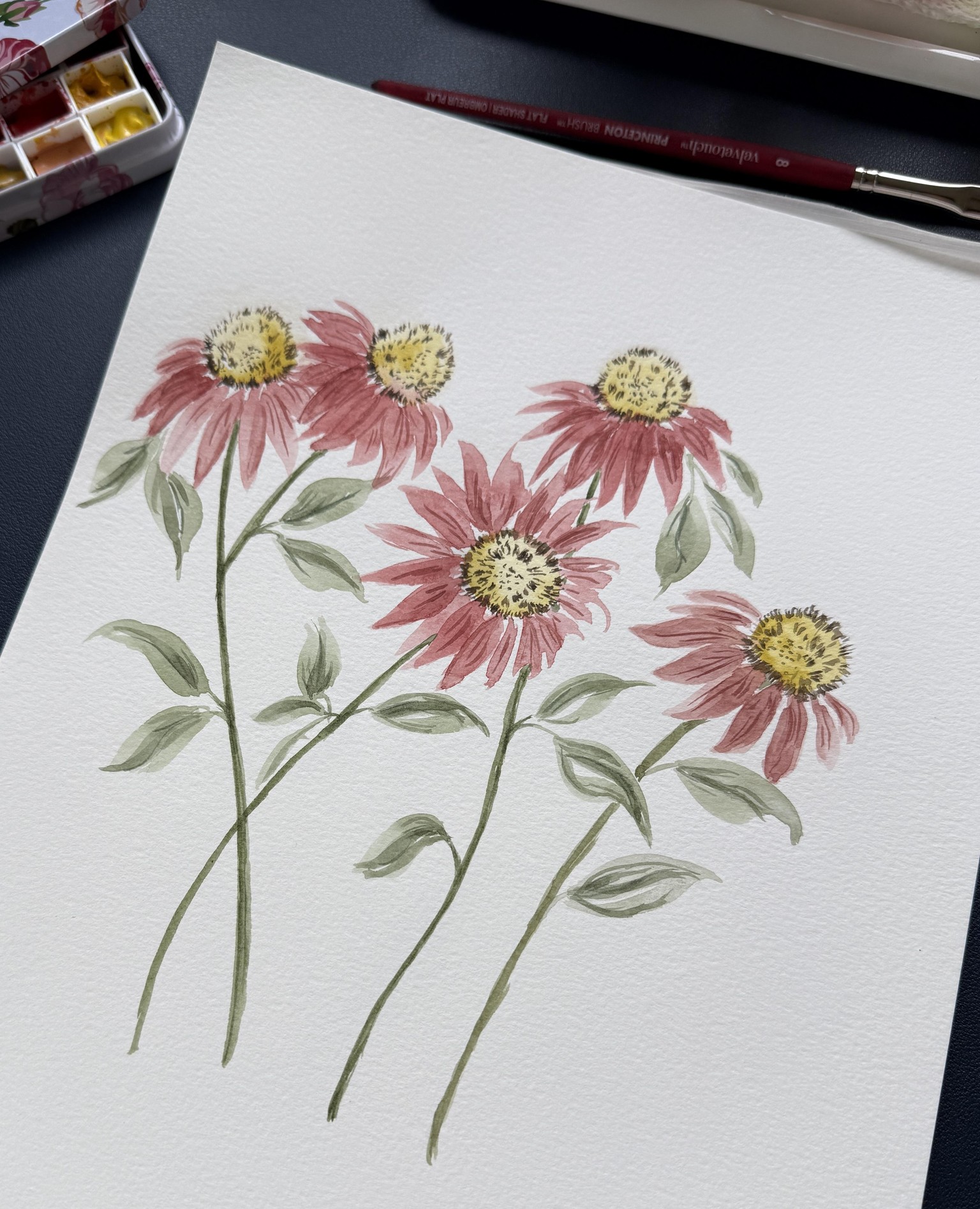 Cone Flowers - image 1 - student project
