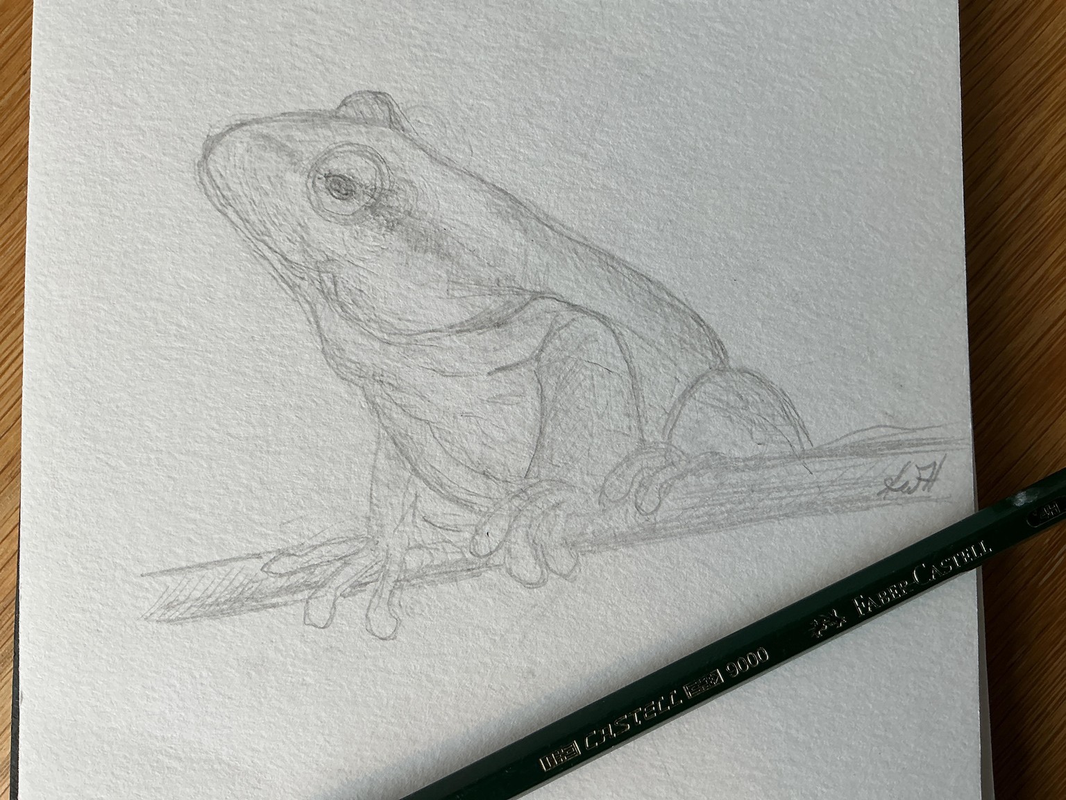 Sketching Animal potraits. - image 1 - student project