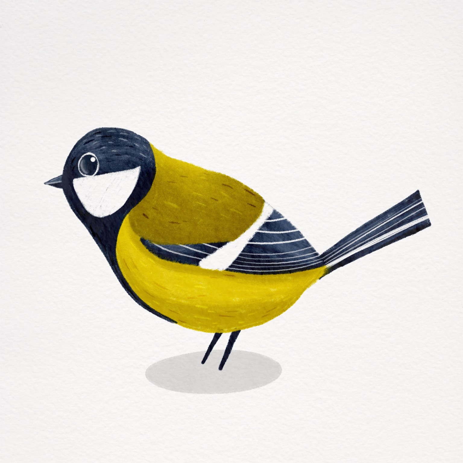 My birds - image 2 - student project