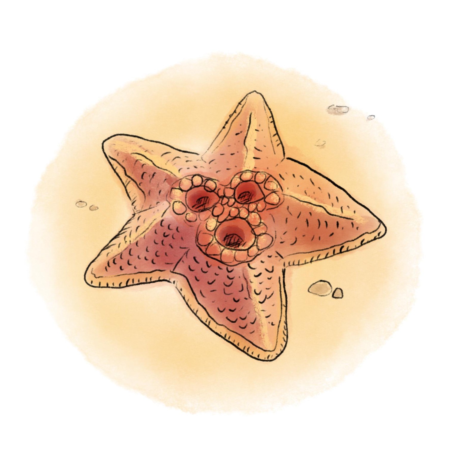Procreate Essentials: A Designer’s Guide to Digital Illustration - image 1 - student project