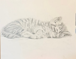 Sleeping Kitten - image 1 - student project