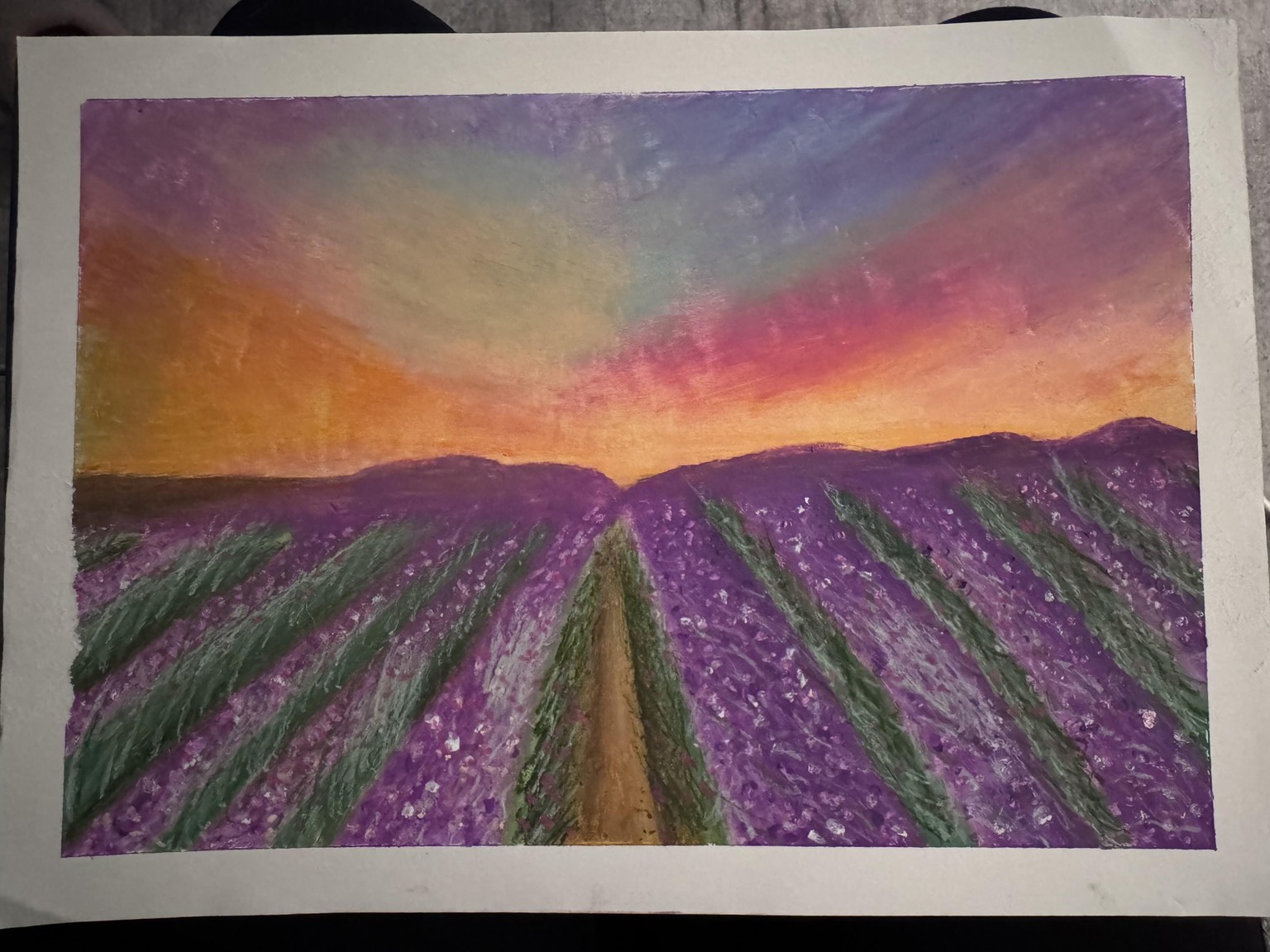 Lavender landscape - image 1 - student project