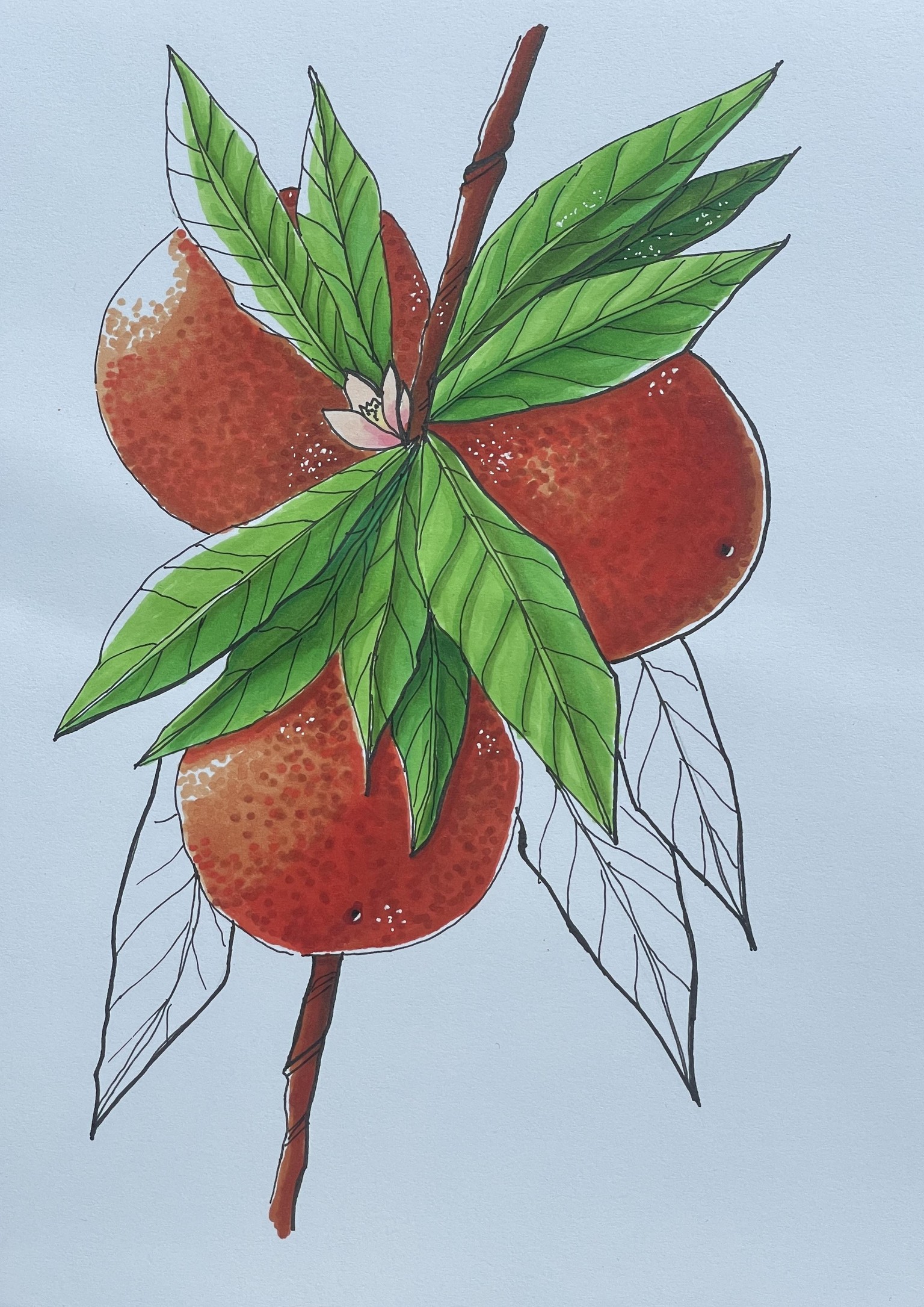 Markers - expressive fruits - image 9 - student project