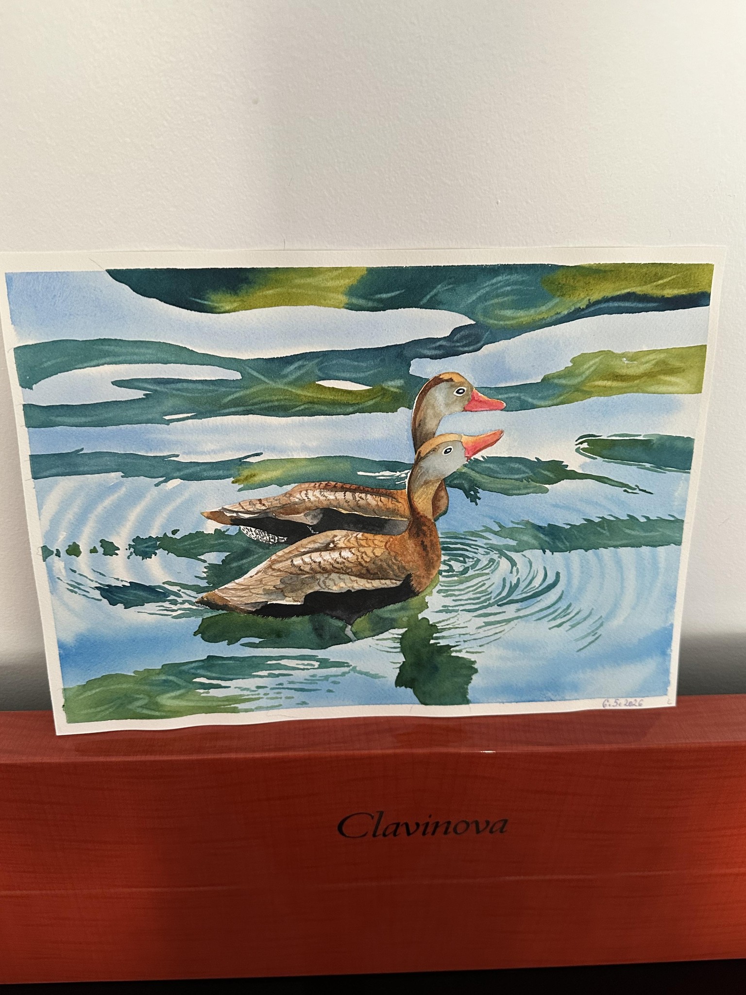 Ducks 😊. - image 1 - student project