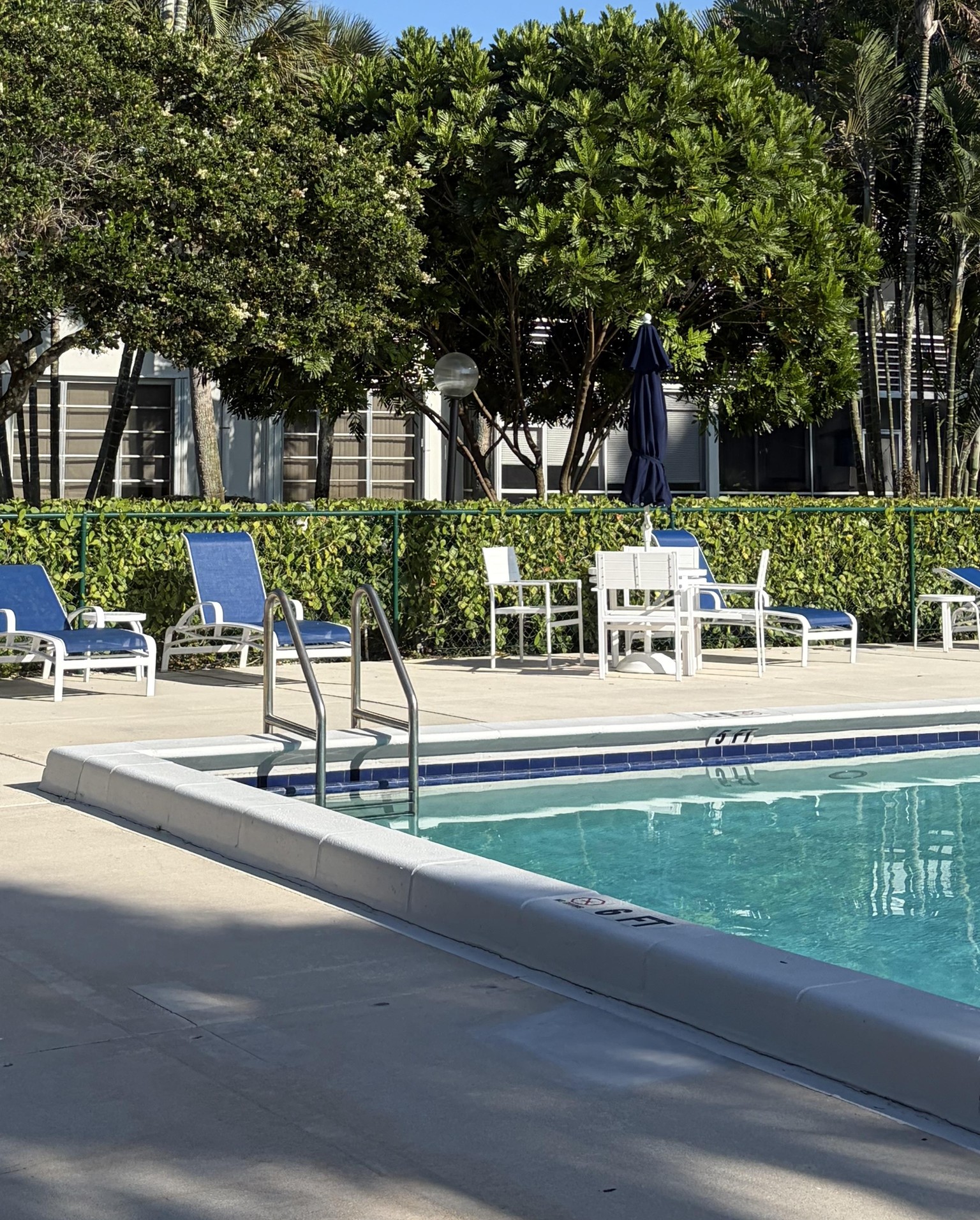 Hanging by the pool - image 1 - student project