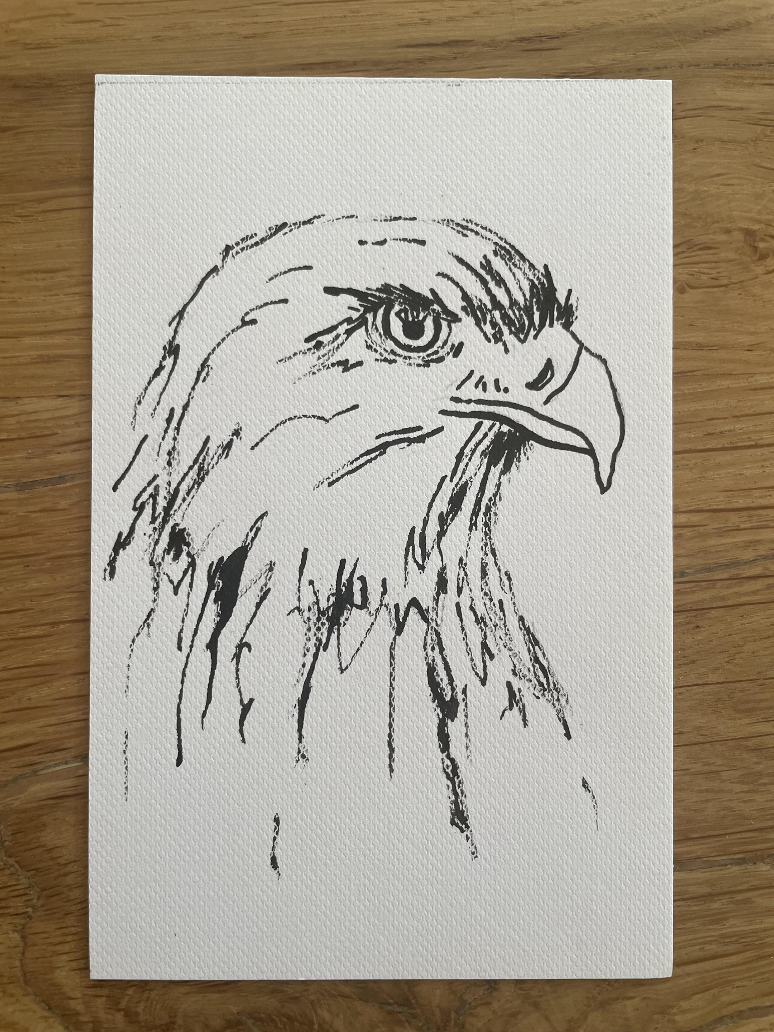 Eagle with ink & twig and watercolours - image 2 - student project