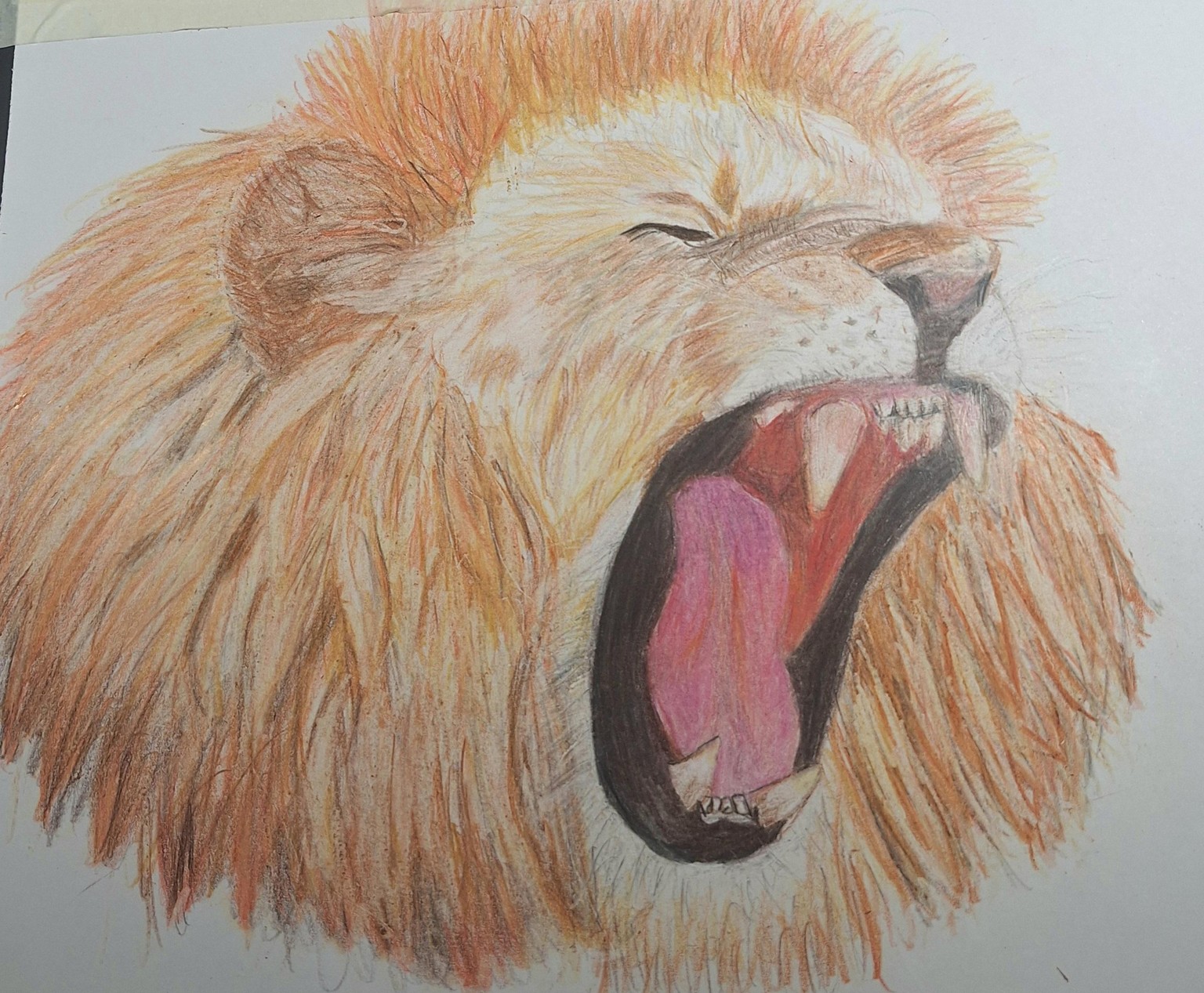 Fierce - image 1 - student project