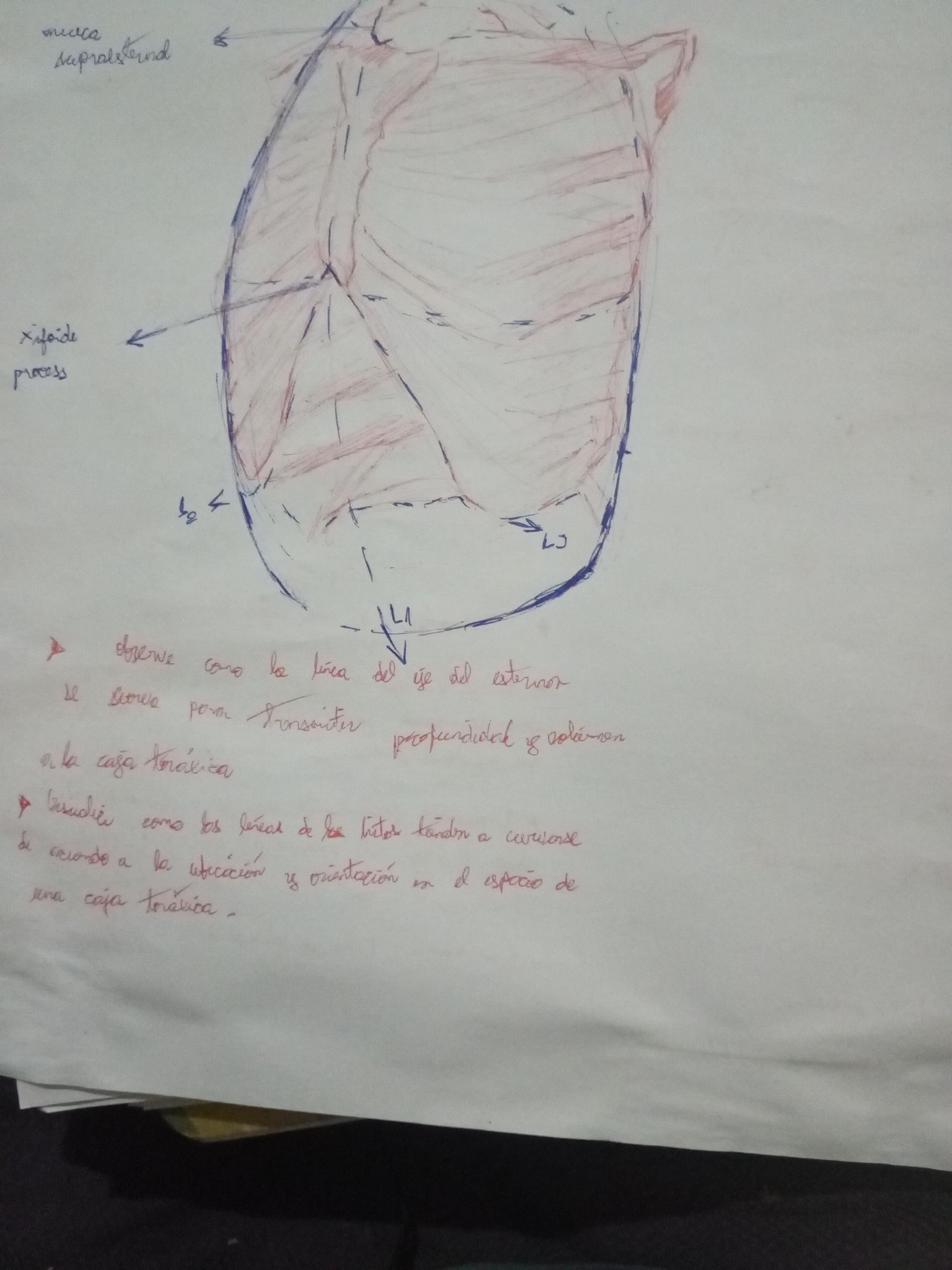 Volumen and structure - image 3 - student project