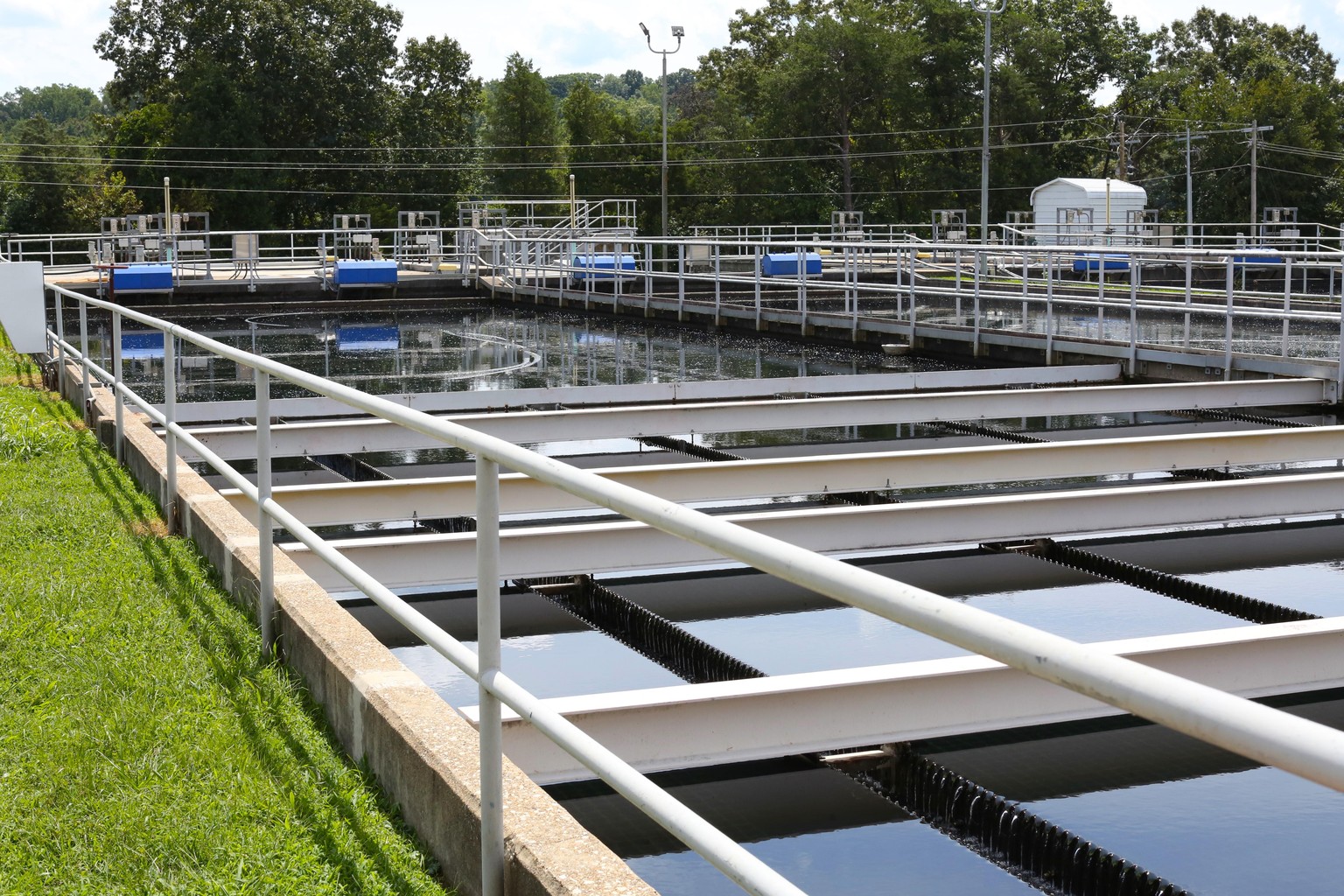 Water Plant - image 1 - student project