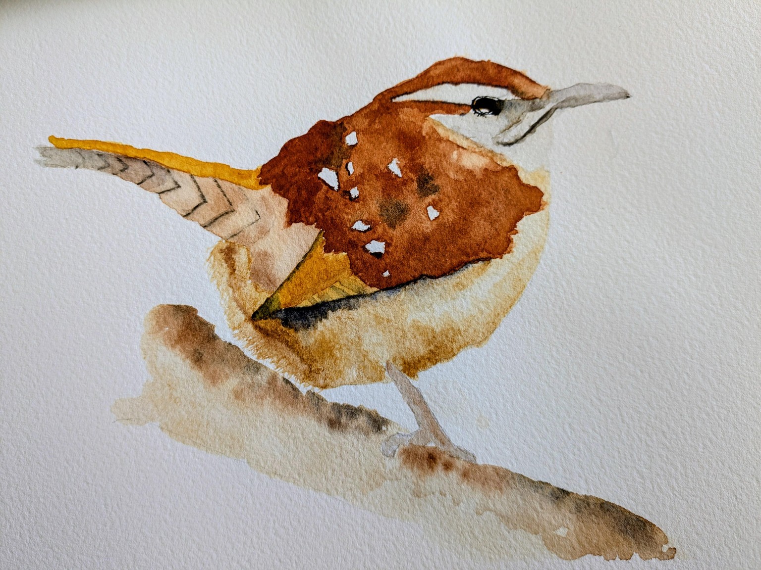 Wren w/ Wet-Into-Wet Techniques - image 2 - student project