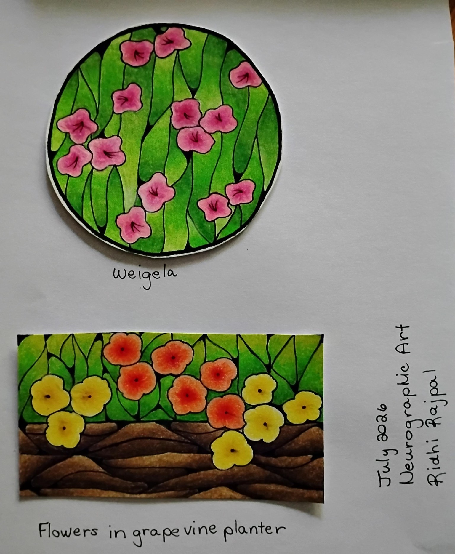 Neurographic Art - image 4 - student project