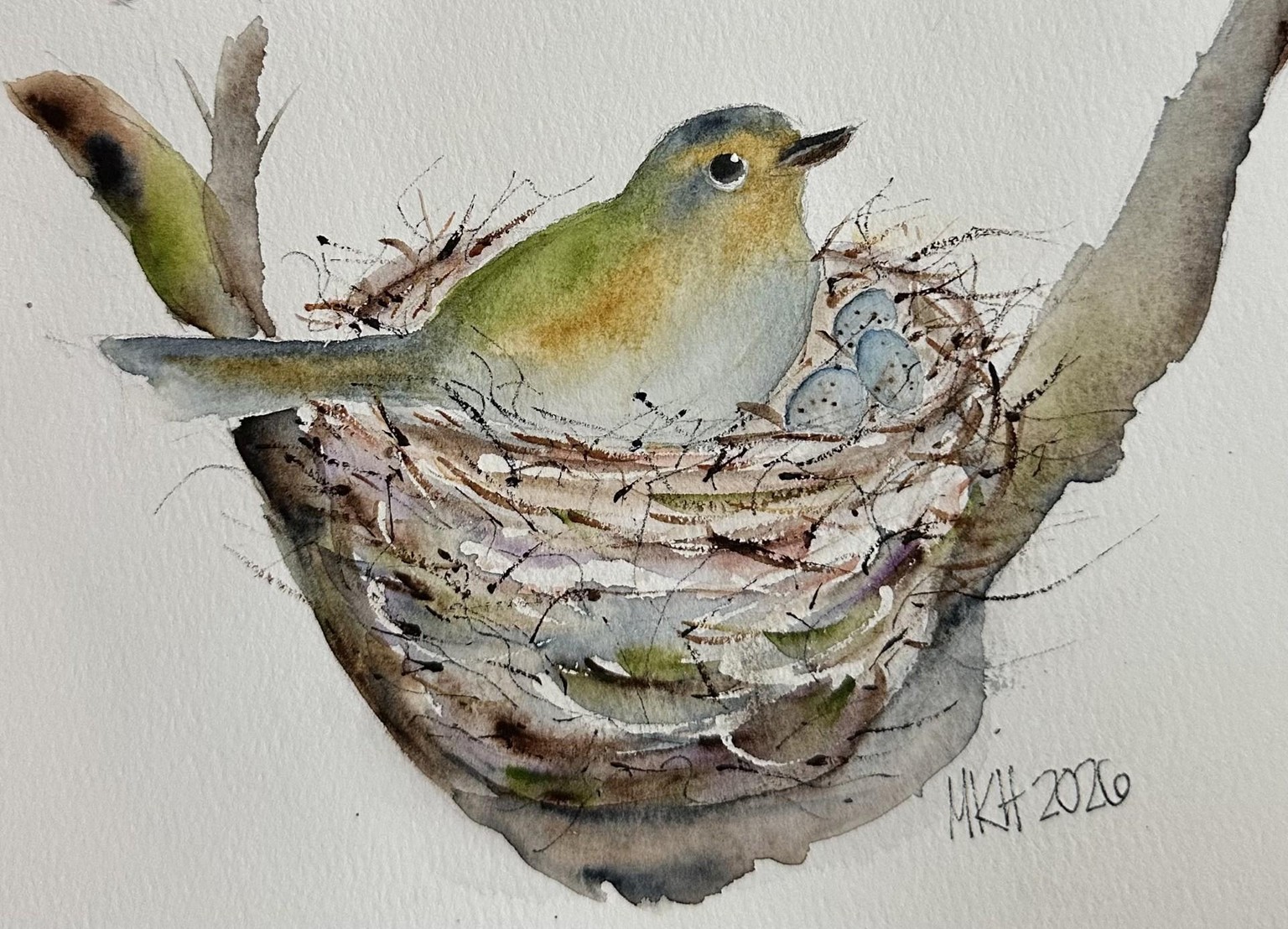 Yellow Warbler and Eggs! - image 1 - student project