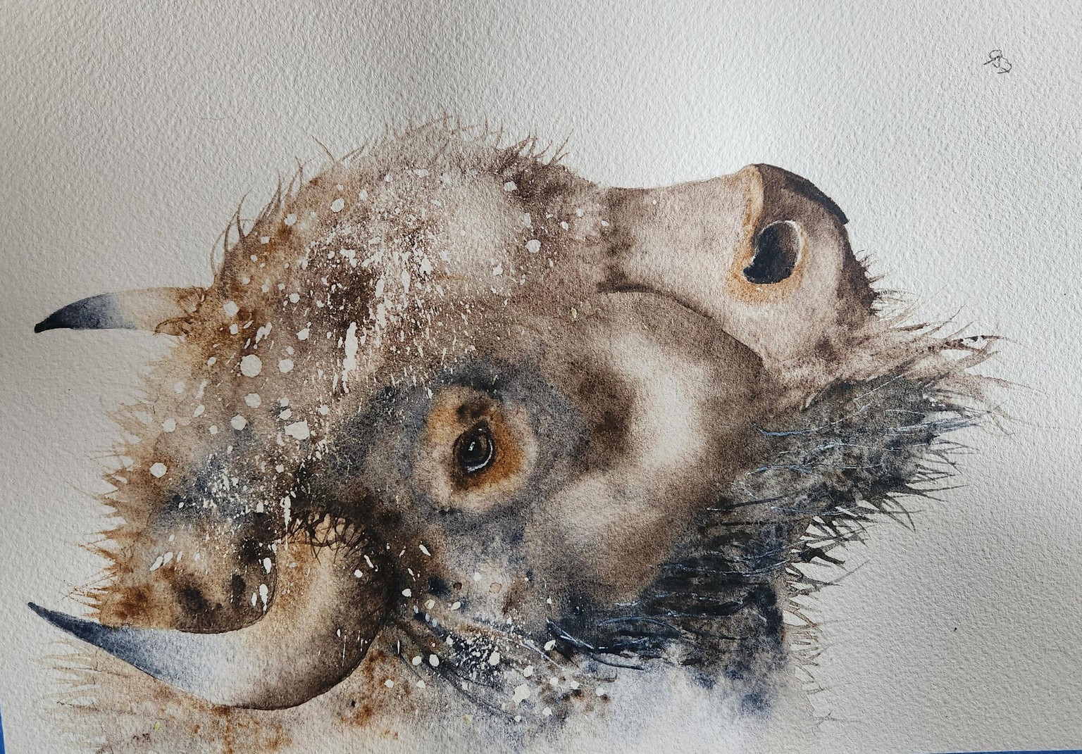 Buford the Bison - image 1 - student project