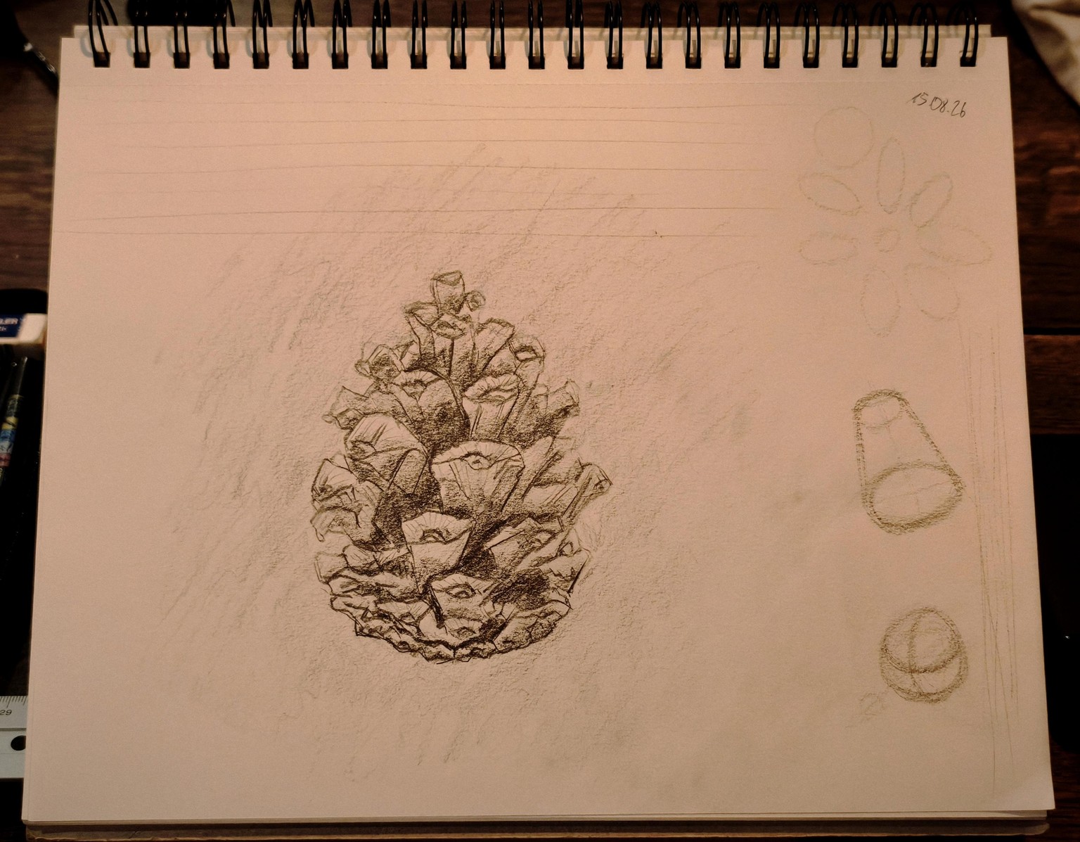 a pine cone ∆ - image 1 - student project