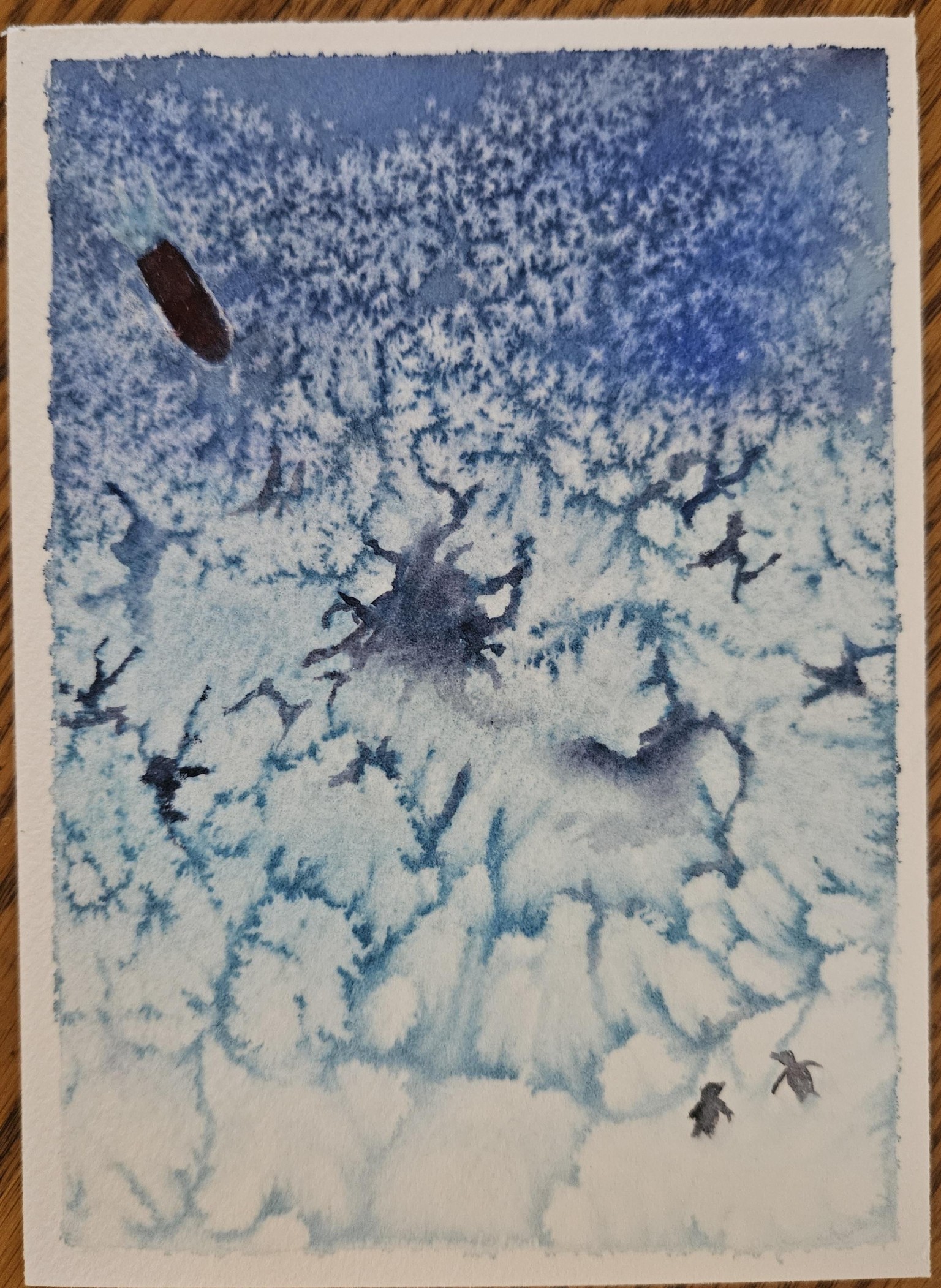 Salt textures. - image 3 - student project