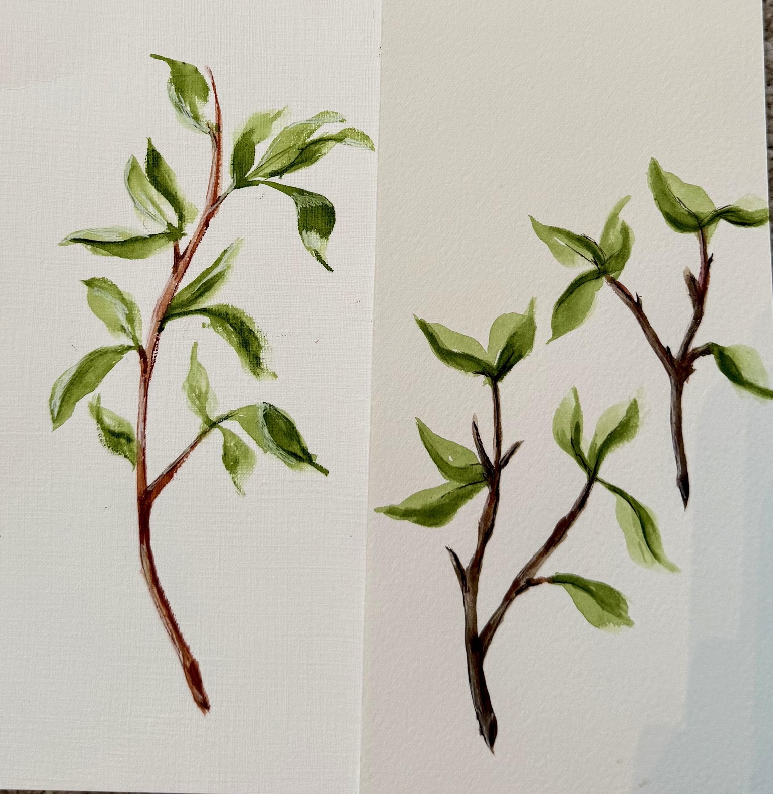 Wedge brush Vines and Branches - image 2 - student project
