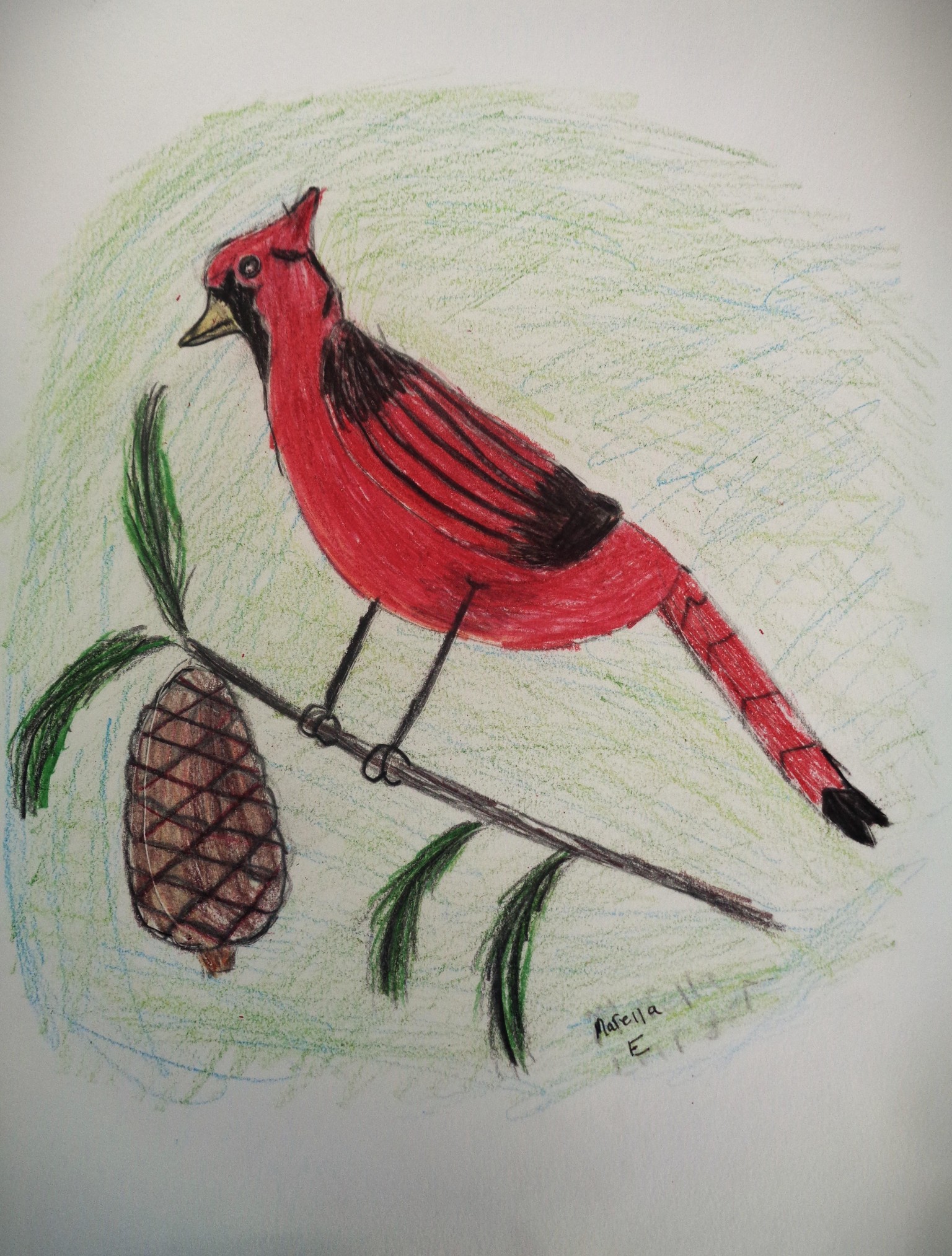 Cardinal - image 1 - student project
