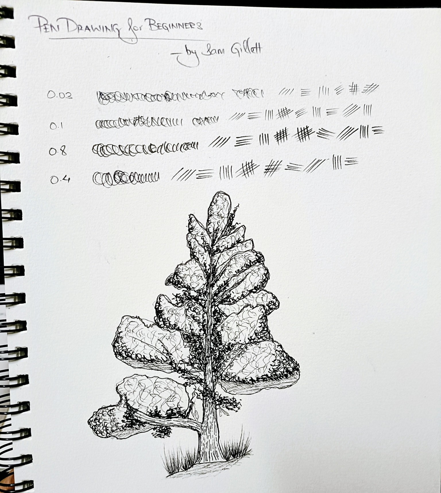 Pen Drawing for Beginners - A Textured Tree - image 1 - student project