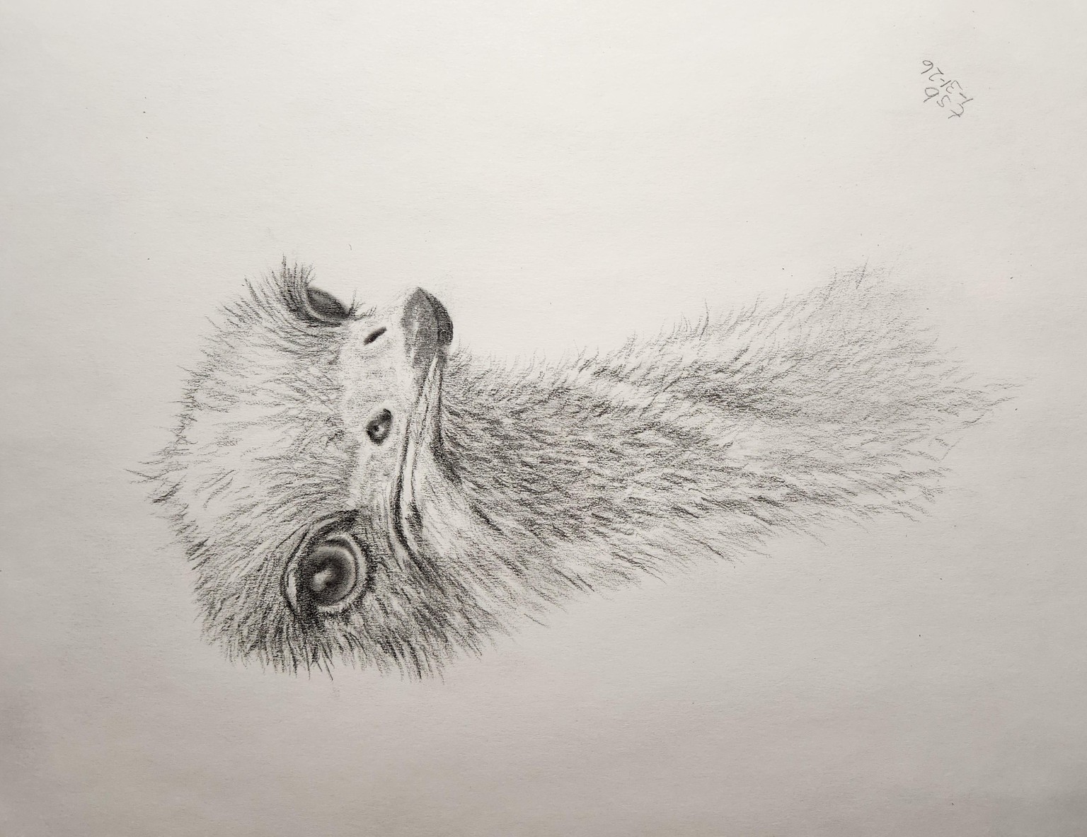 Ostrich w/Jamie - image 1 - student project