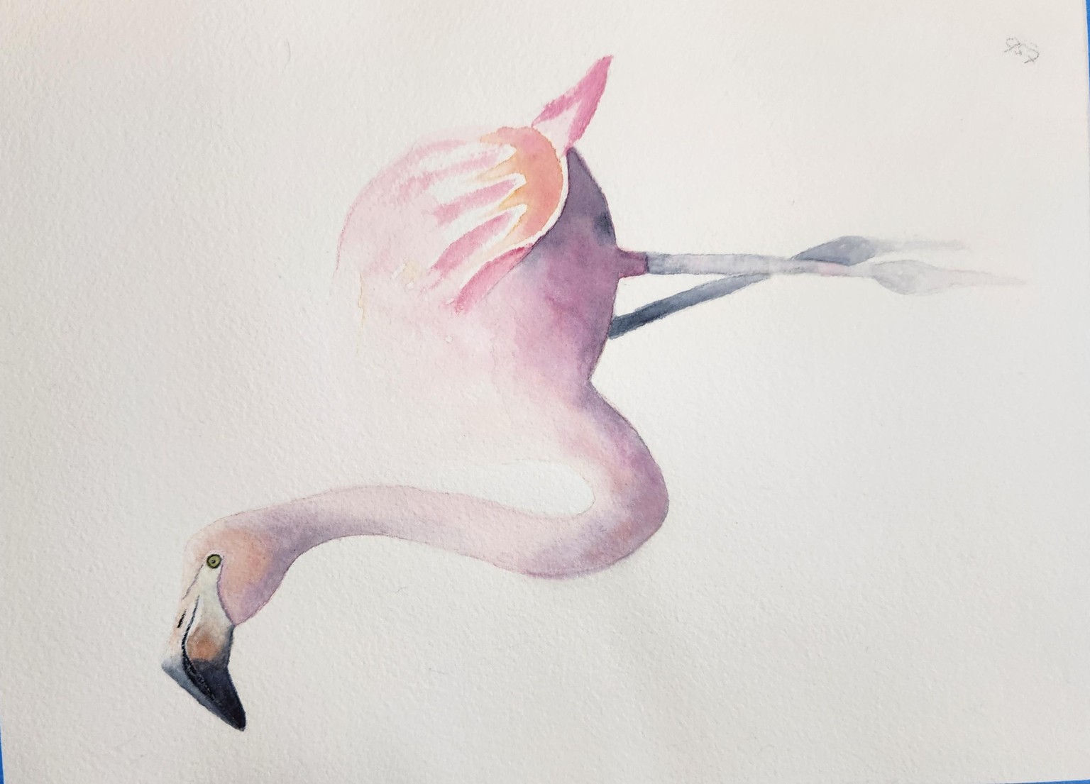 Flavius the flamingo - image 1 - student project