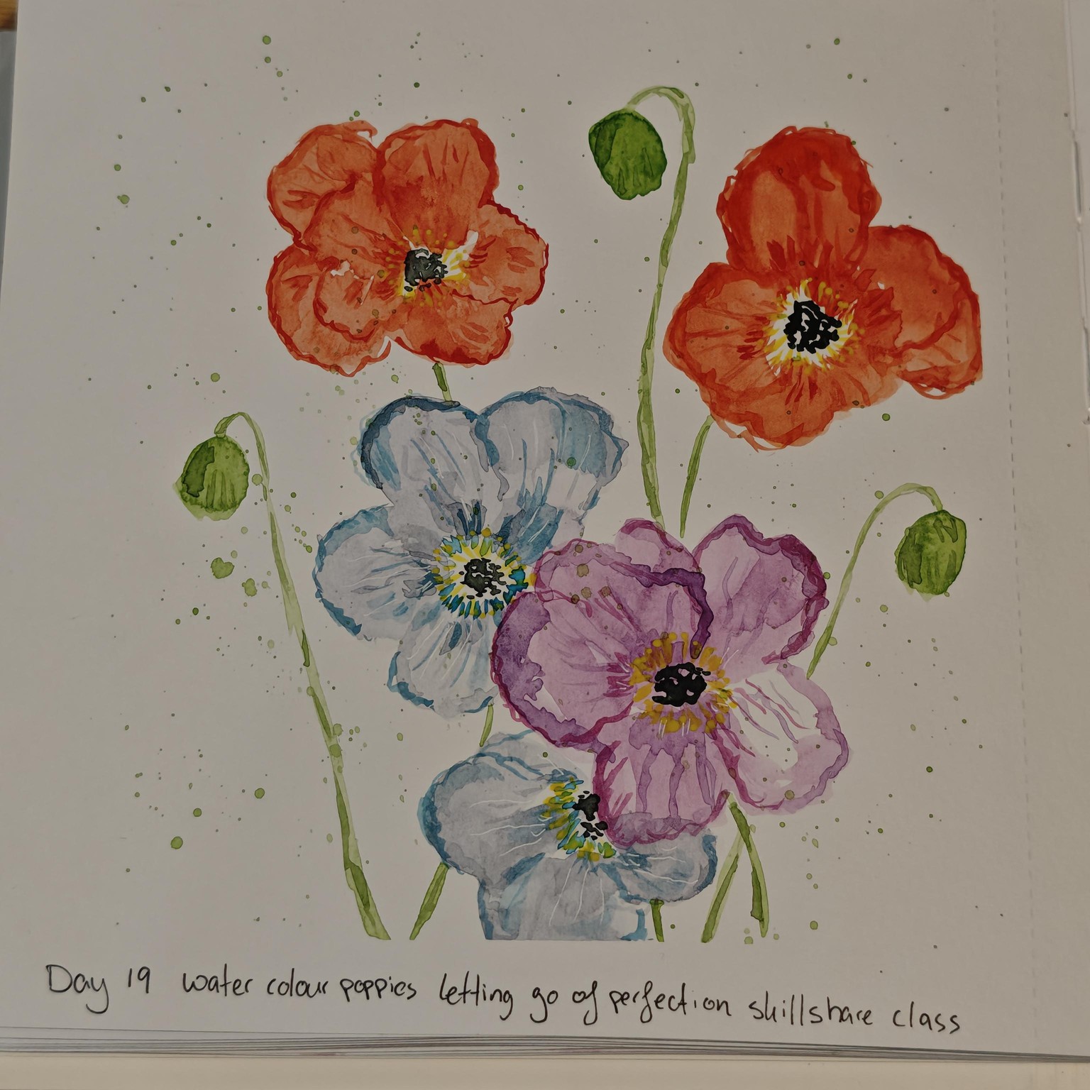 Letting go of mistakes poppies - image 1 - student project