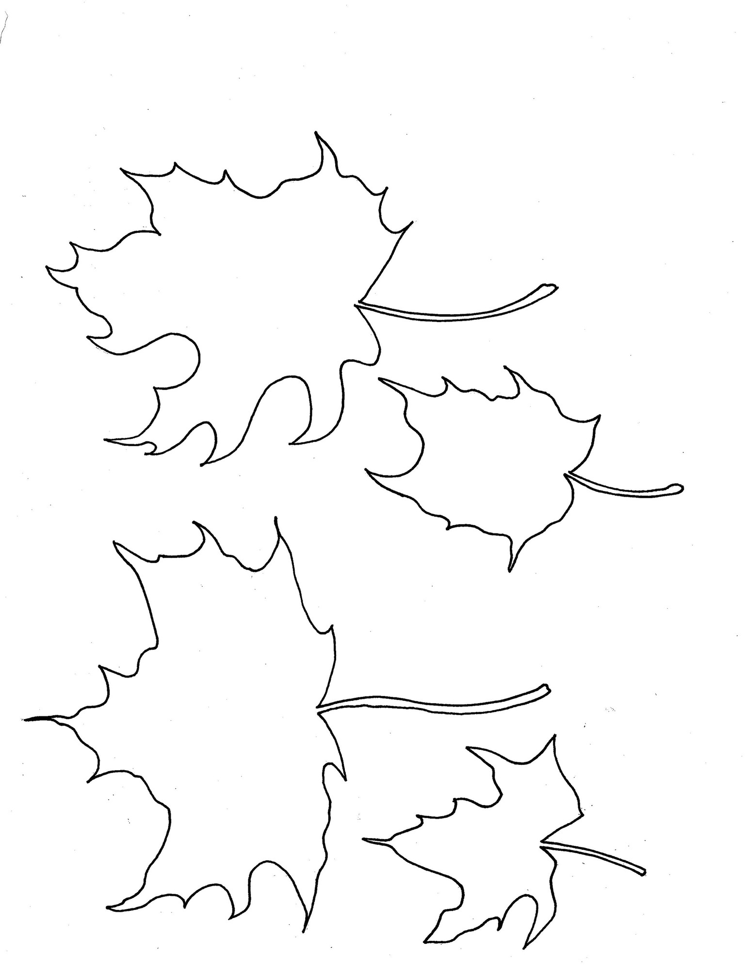 Maple Meadow Patterns - image 6 - student project