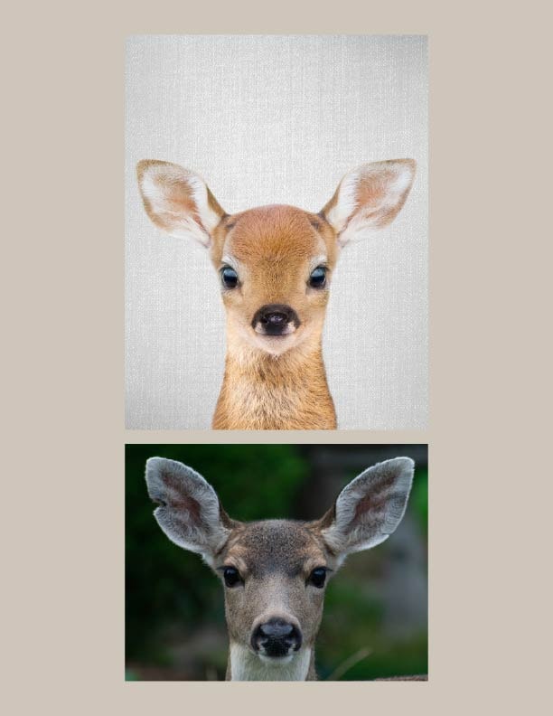 Vector Basics: Baby Deer Portrait - image 2 - student project