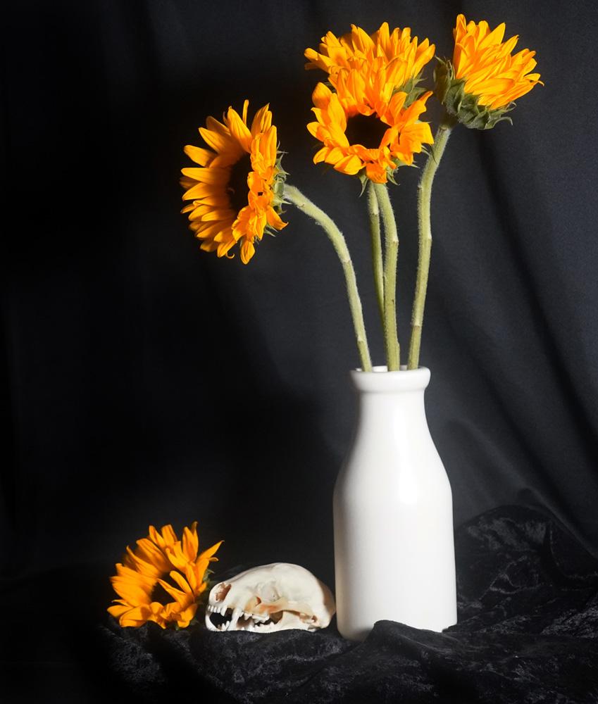 Still Life and Death - image 1 - student project