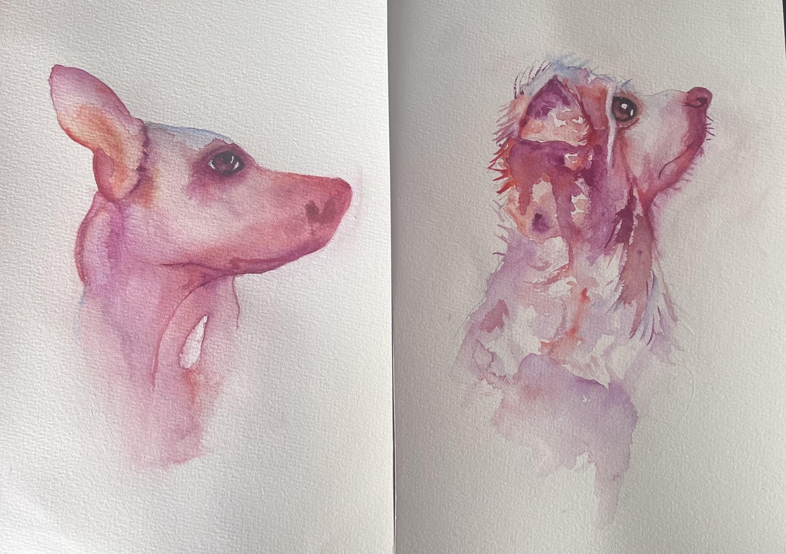 Boceto, para iniciar en la técnica para hacer perros, tengo dos galgos, intentaré hacerlo mejor, muchas - image 1 - student project