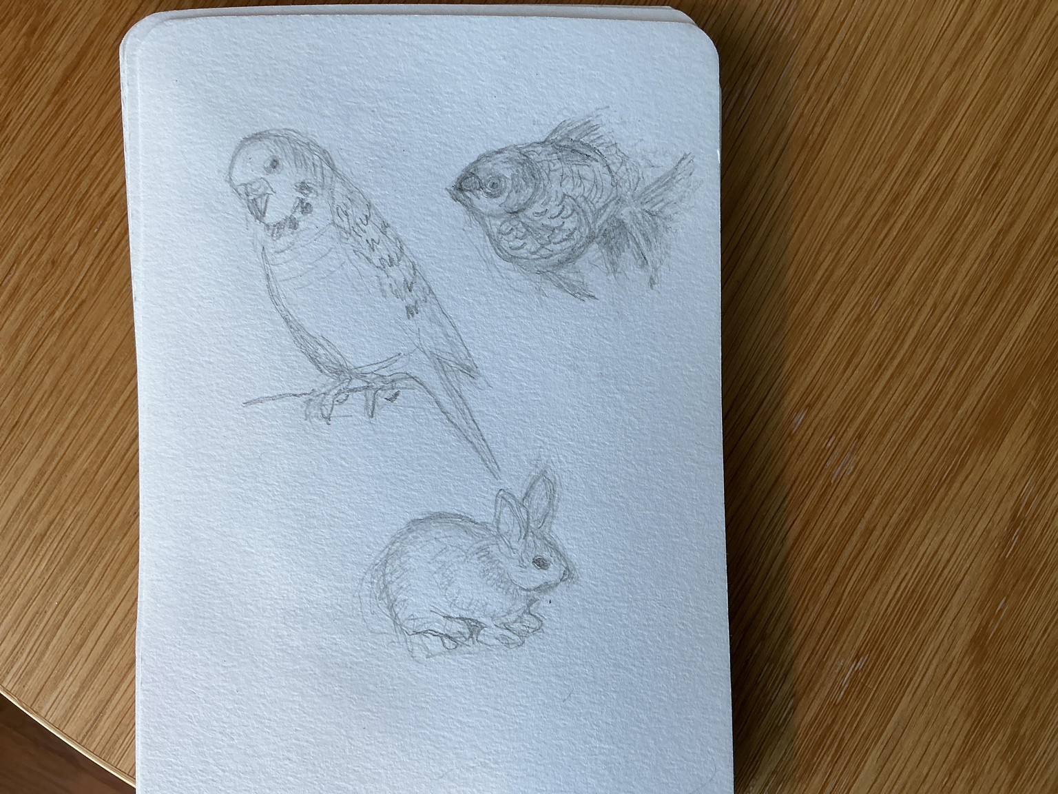 Sketching Animal potraits. - image 2 - student project