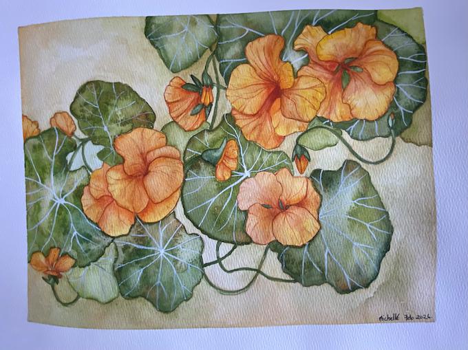 Garden Gems: Painting Nasturtiums in Watercolor - image 1 - student project