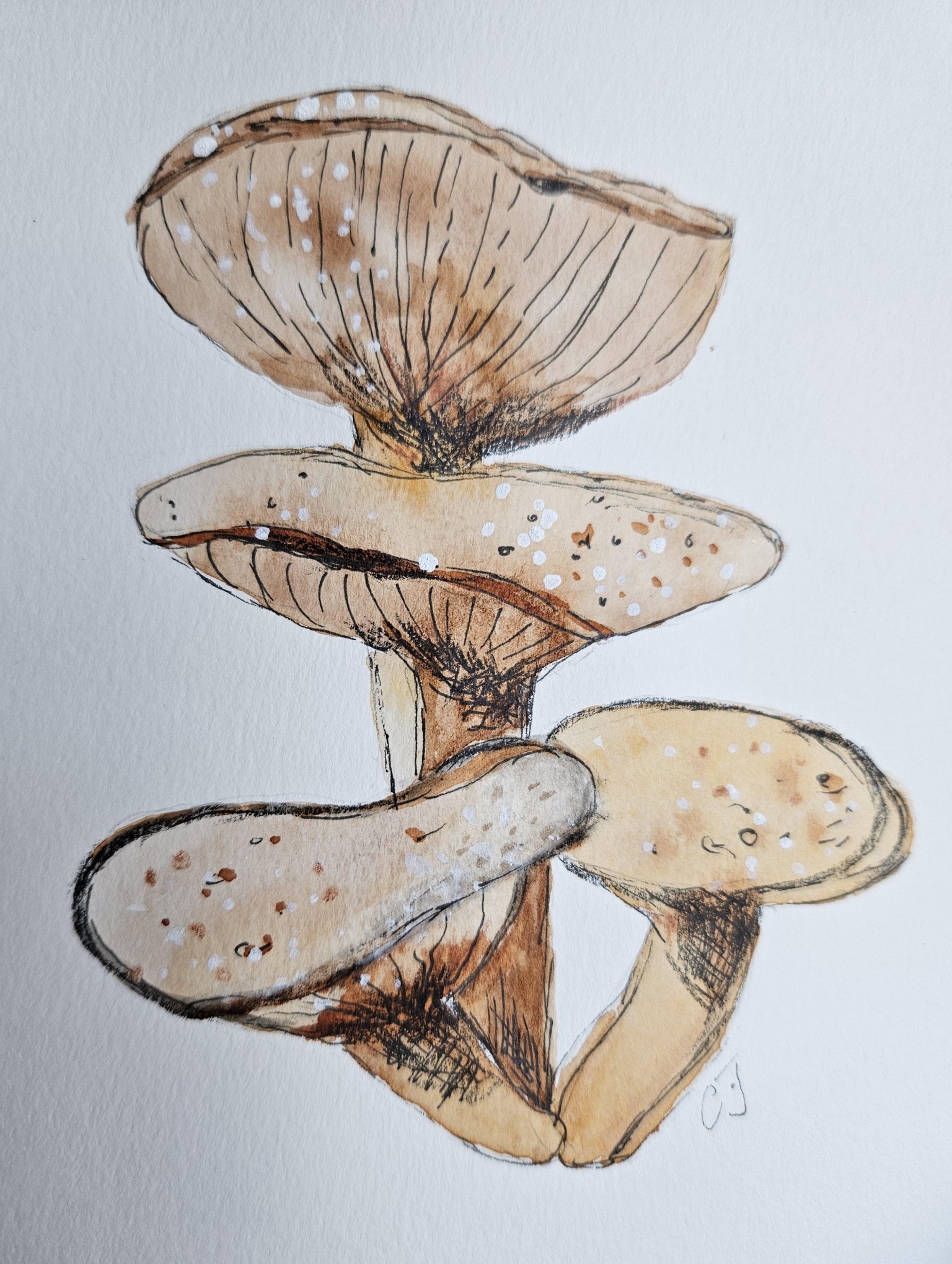 Whimsical mushrooms - image 2 - student project