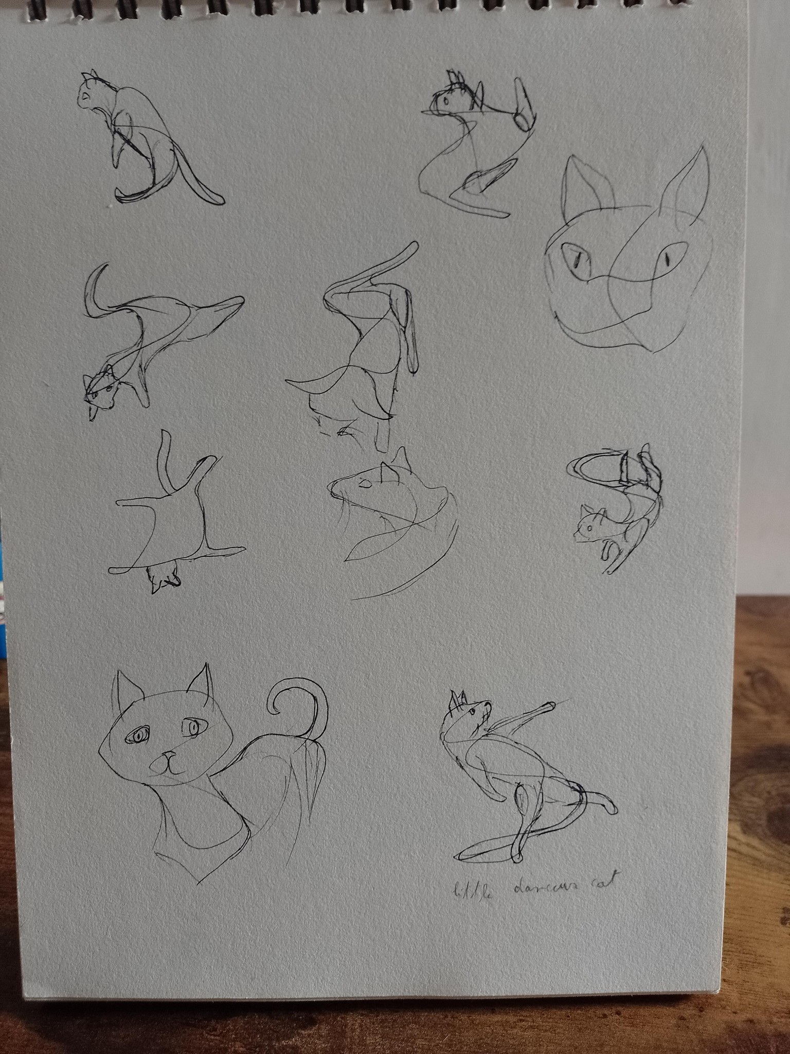 Lots of drawings - image 2 - student project