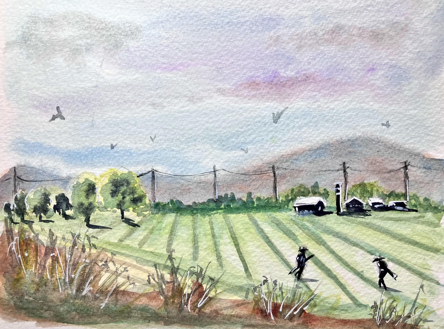 Watercolor scenery:  Ink or no ink? - image 17 - student project