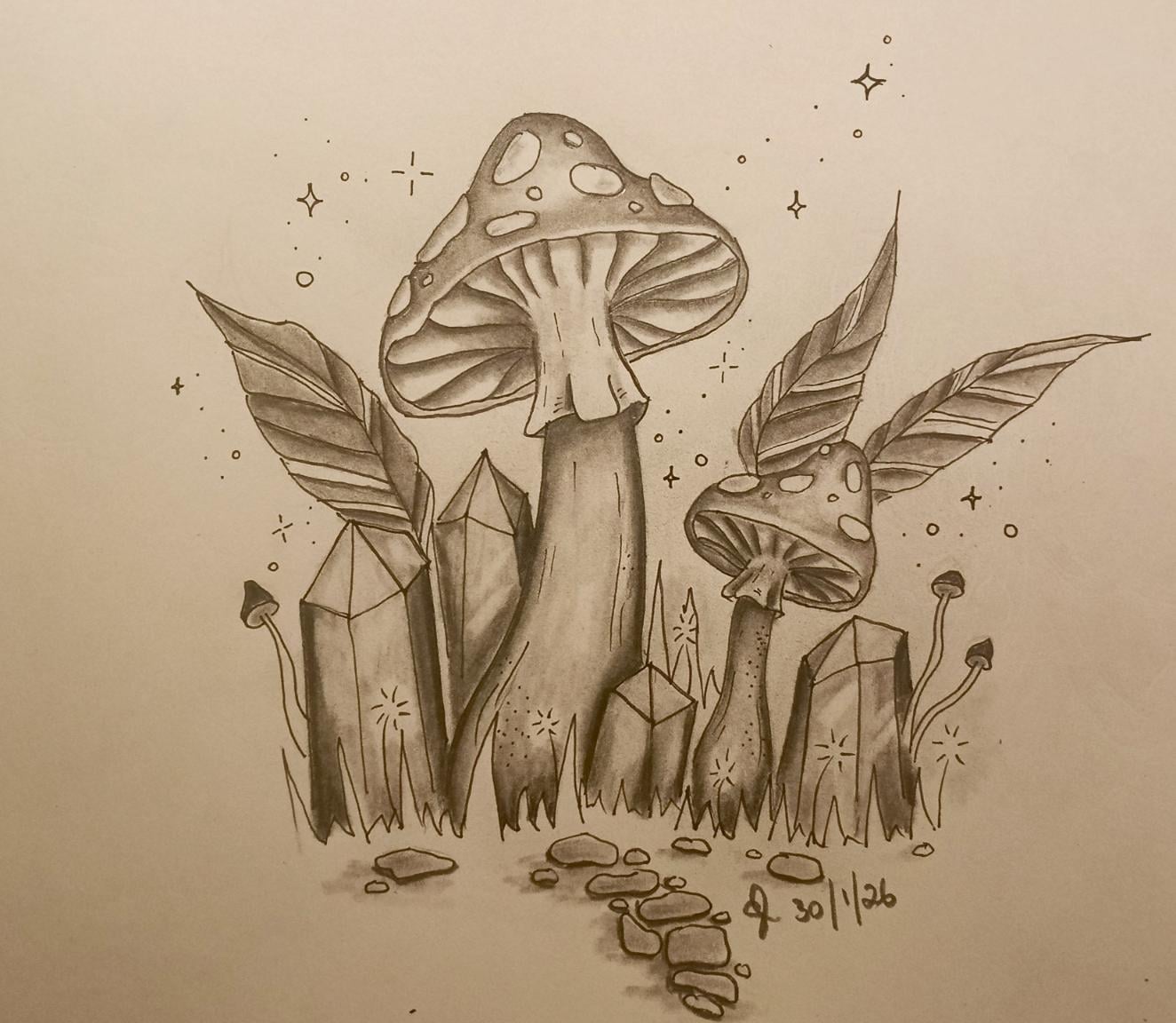 Mystic Mushrooms - image 1 - student project