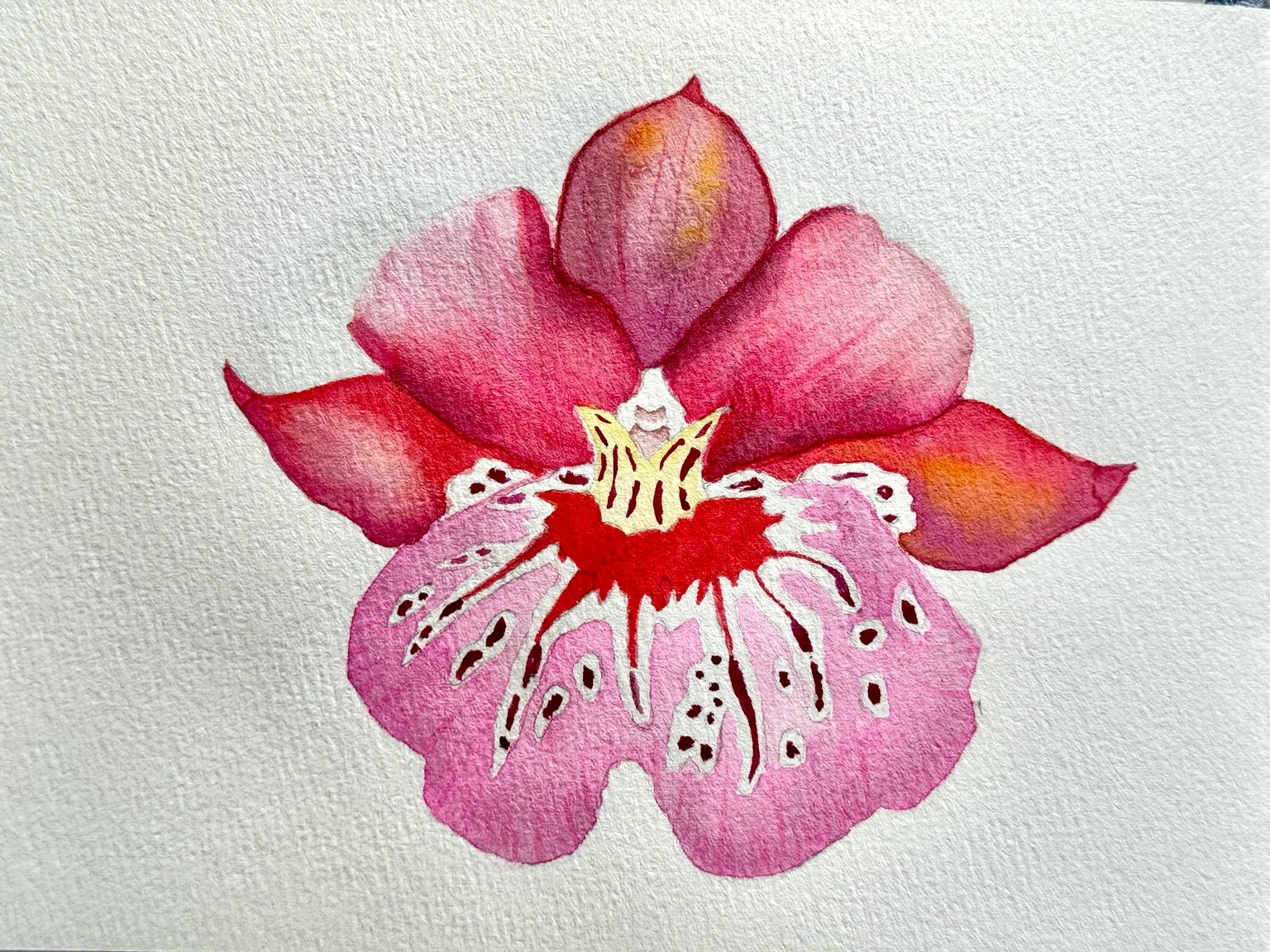 Watercolour Orchids - image 3 - student project
