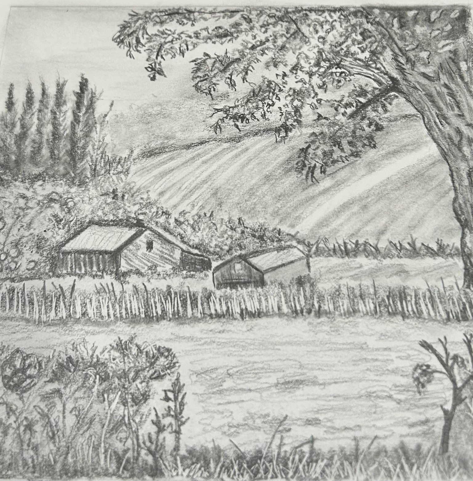 Landscapes - image 6 - student project