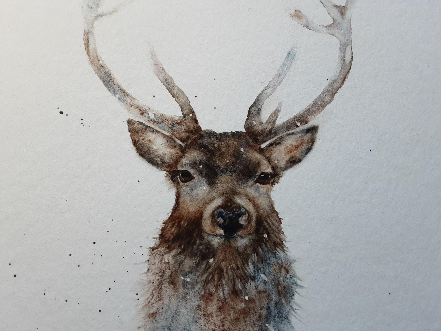 Stag (Jane Davies class) - image 1 - student project