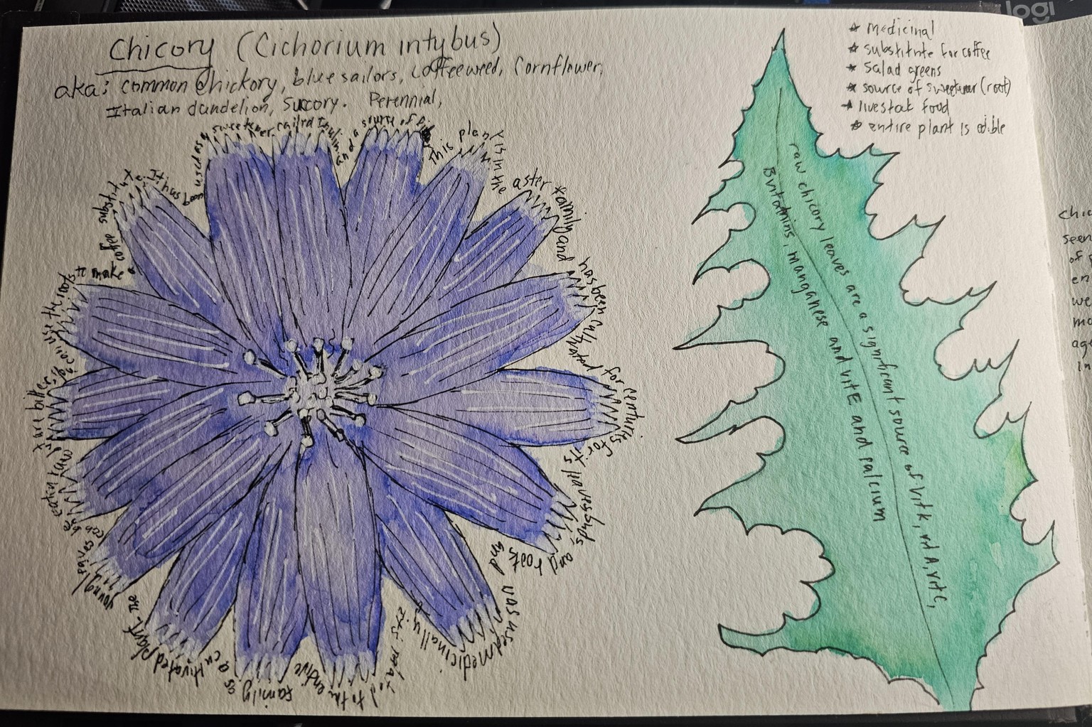 Nature journal page - image 1 - student project