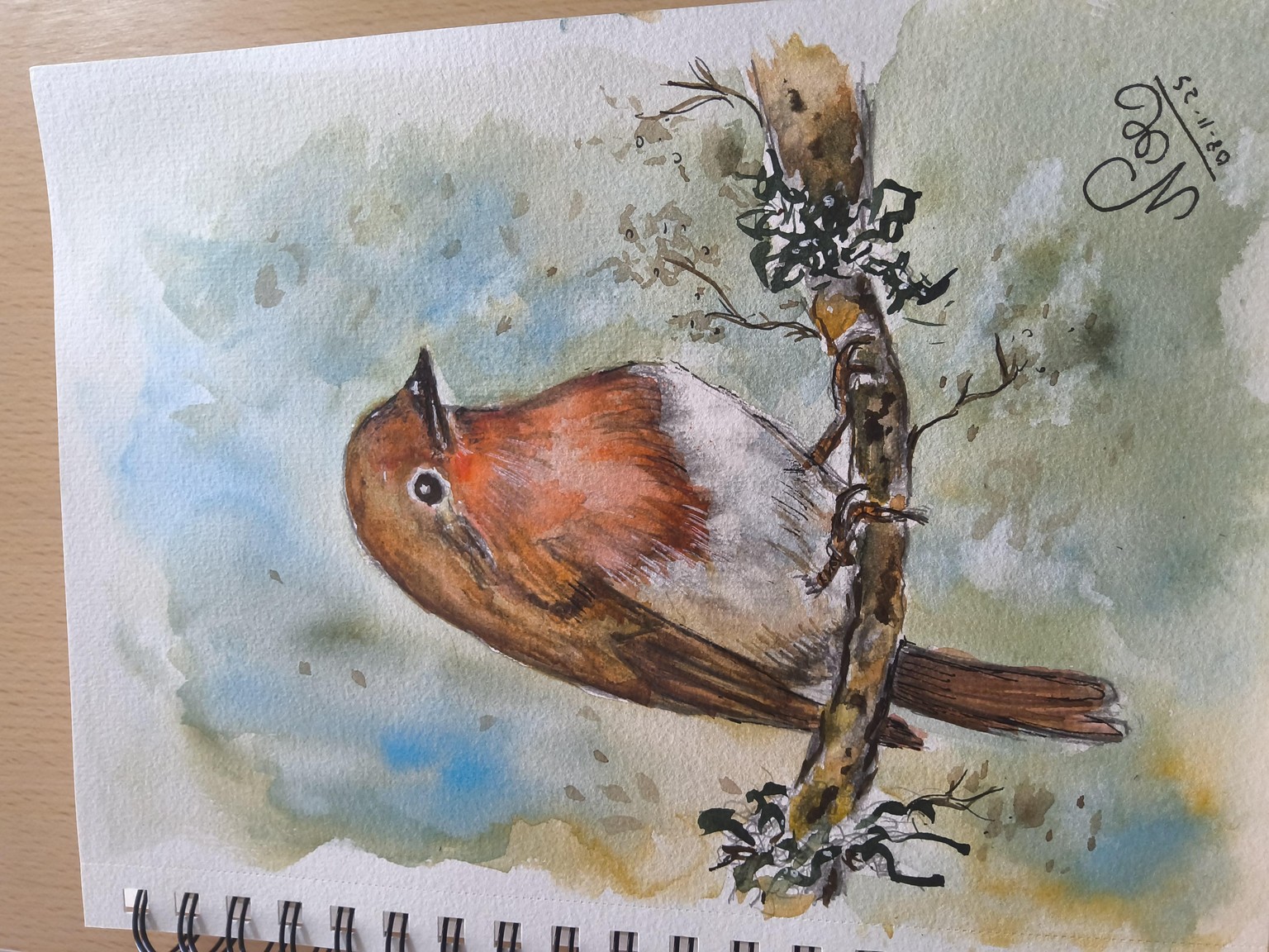 Little bird - image 1 - student project