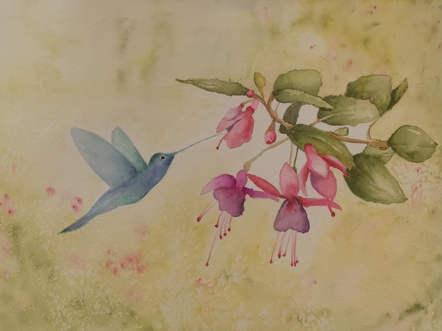 Hummingbird first try - image 1 - student project