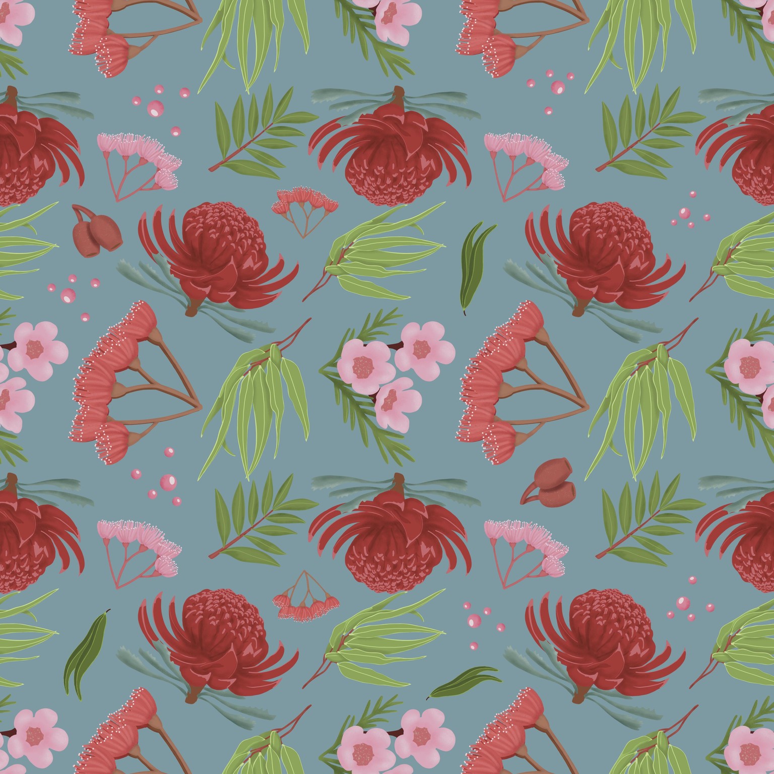 Australian Native Plants - image 2 - student project